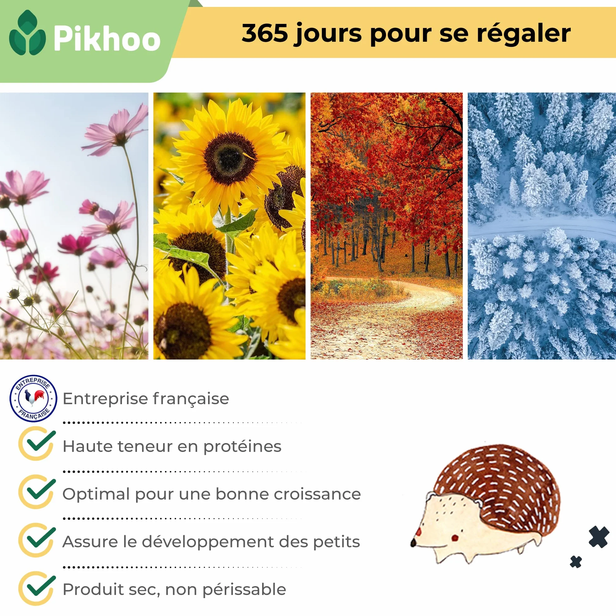 Insectes Comestibles vers de Farine Séchés 2kg Nourriture Oiseaux