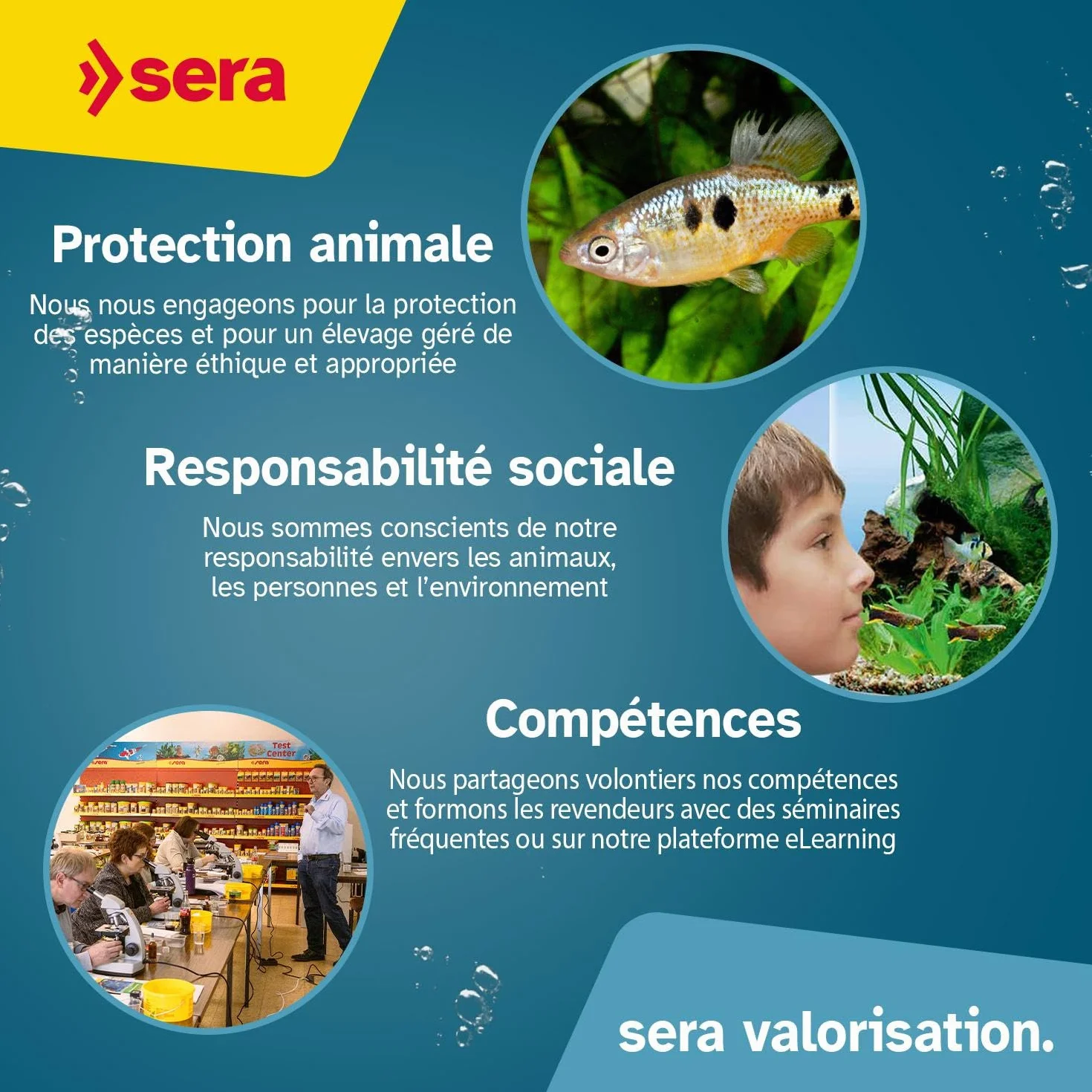 Serena Florena 5 L Soin de Base pour Plantes d'Aquarium Minéraux et Nutriments Essentiels Favorise la Croissance