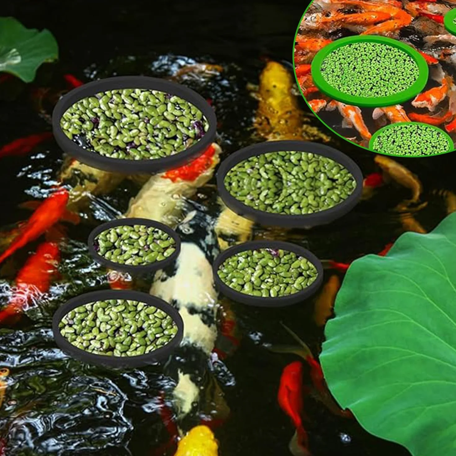 Lot de 10 Anneau Plante Flottante, Anneaux De Plantes pour Aquarium, Corral De Plantes Flottante, Anneau d'alimentation Aquarium, Rond Anneau d'alimentation pour Poisson (5 Tailles-Noir & Vert)