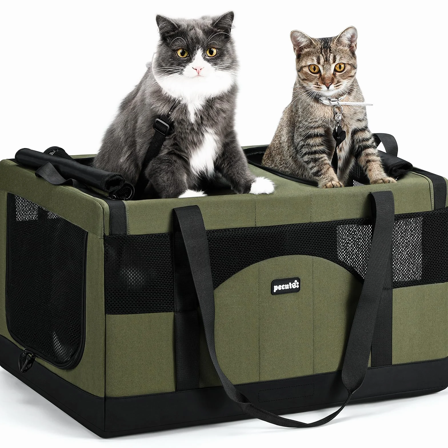 Pecute Sac de Transport pour 2 Chat, Cadre Ultra Stable, Pliable, Vert
