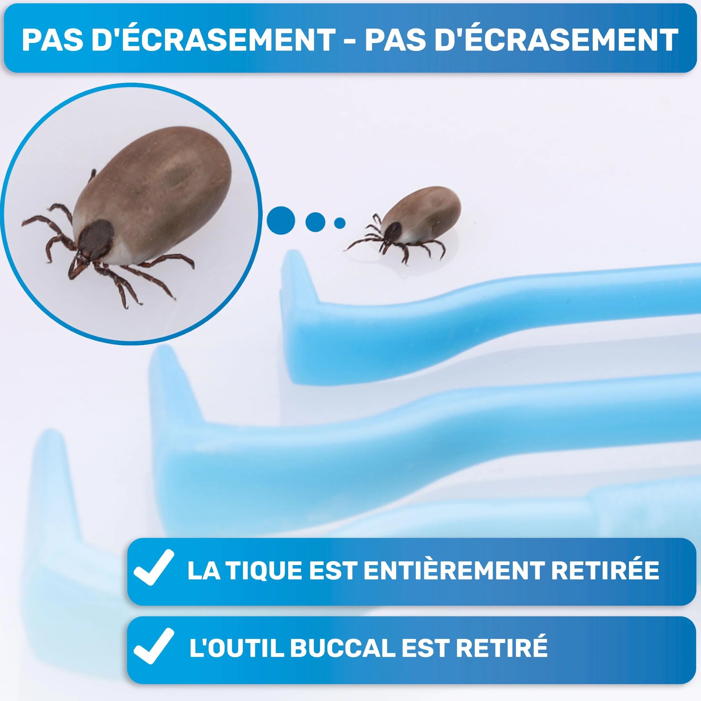 BluePet Tire Tique pour Chiens Chats Humains Crochet à Tiques Retireur Pince
