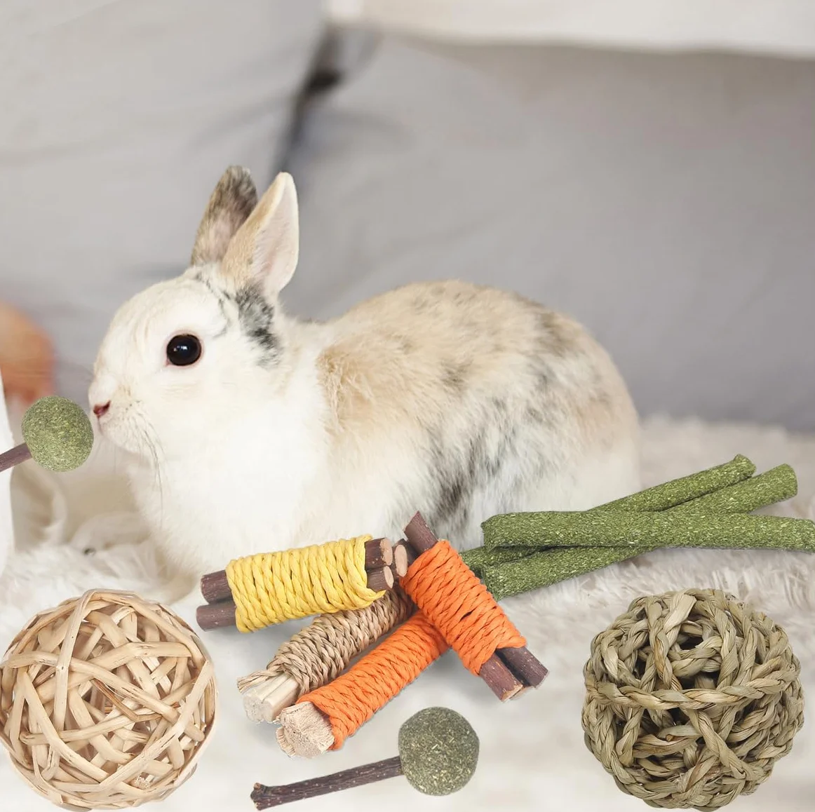 Jouets de Lapin 18 pièces Bâtons de Foin de Timothée Naturels Bâtons de Bois de Pommier