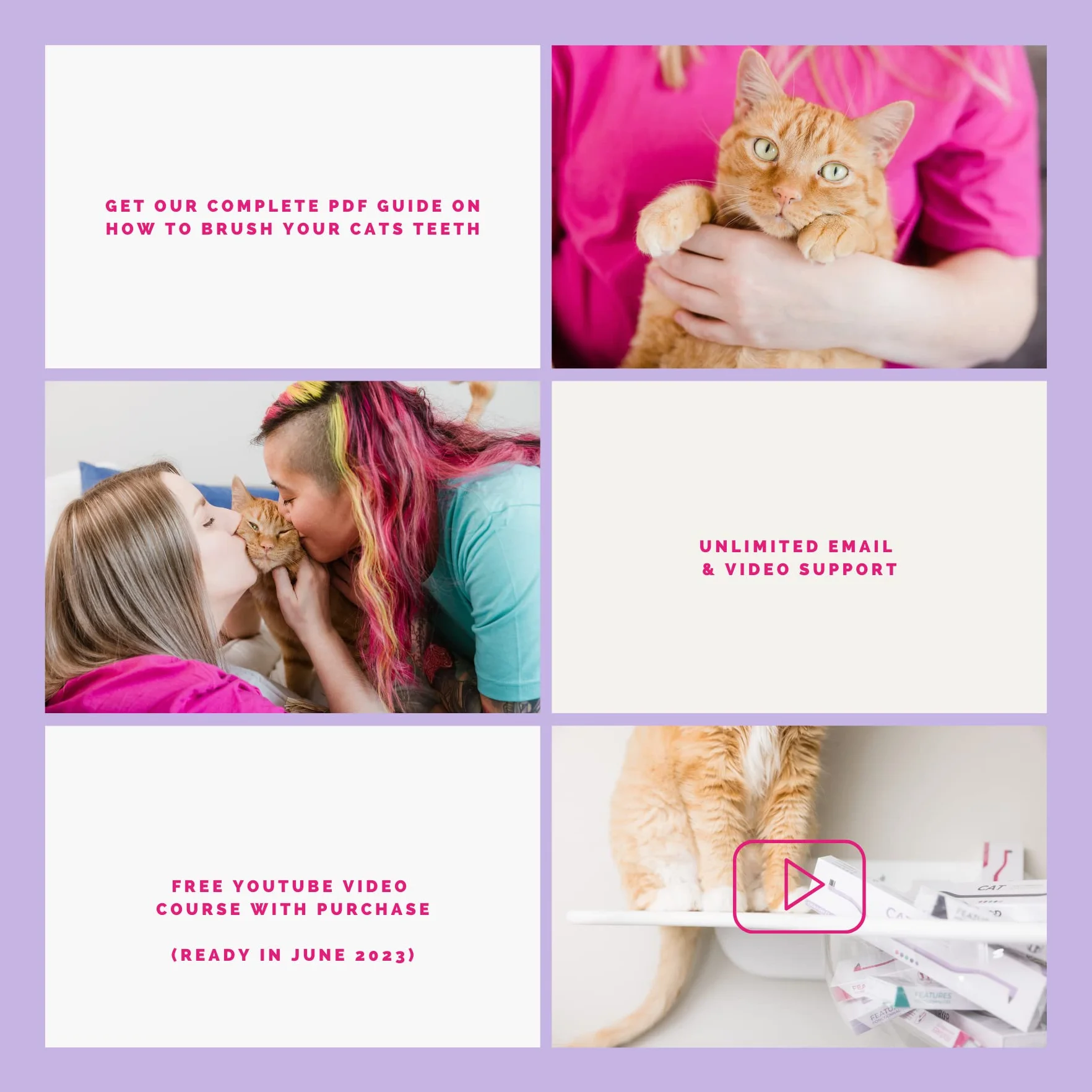 RYERCAT Ocean Brosse à dents double face pour chat 8 mm