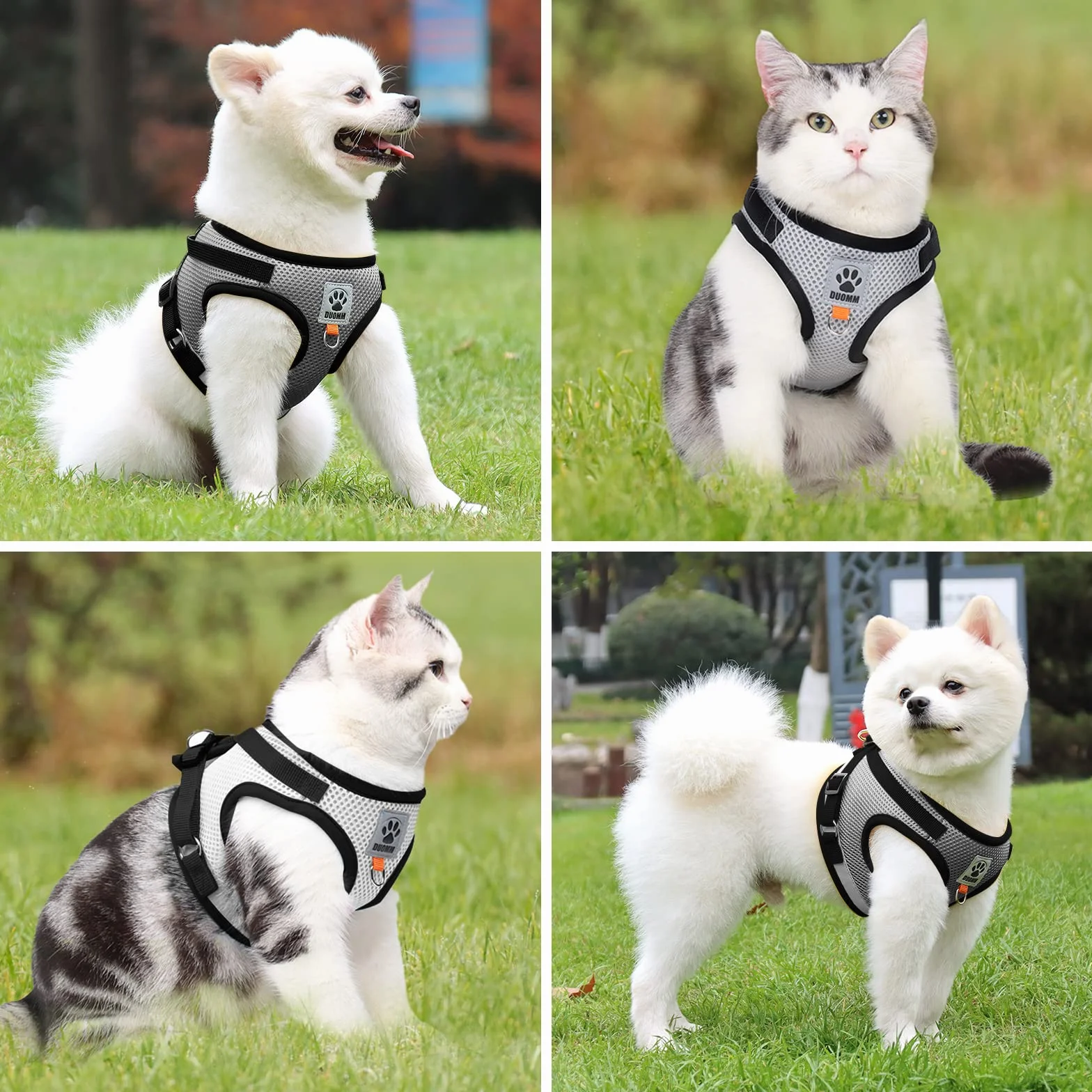 Harnais Chat Anti-évasion Réfléchissant Réglable Gilet Respirant pour Chat et Petit Chien
