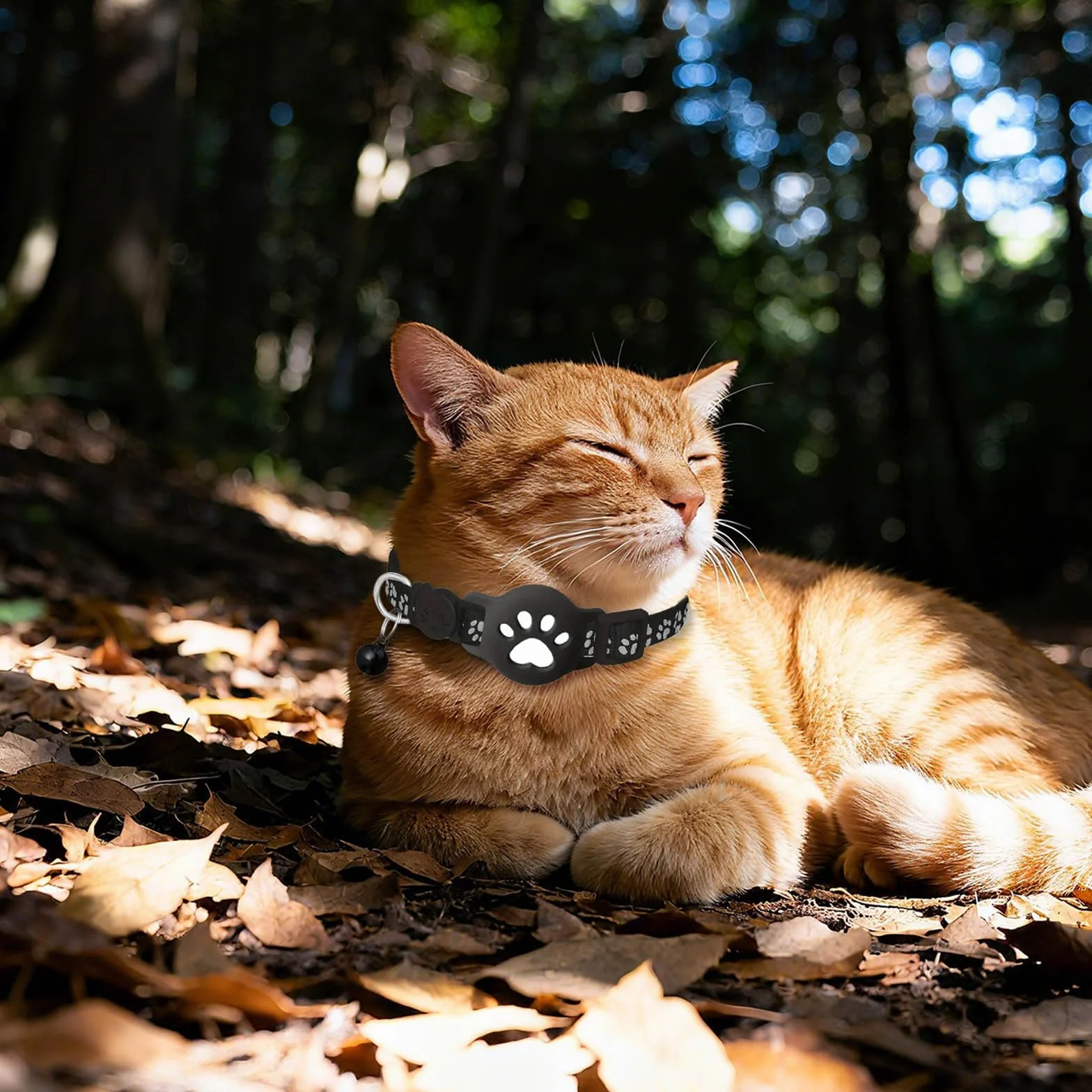 Collier GPS Chat Traceur sans Abonnement Mensuel Localisation Temps Réel Imperméable Anti-Perte pour Chats Extérieur Noir