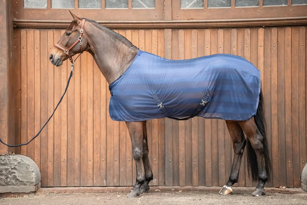 Equinate Couverture anti-mouches Guardian 165 cm bleu marine pour chevaux