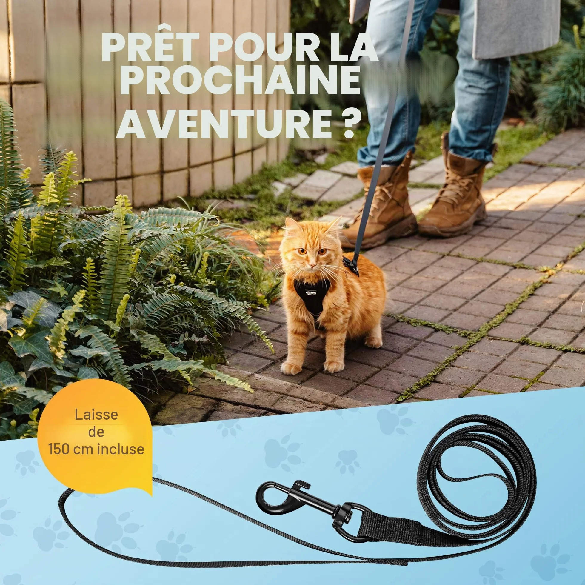 Harnais pour Chat Anti-éclatement avec Laisse Noir Rayure S