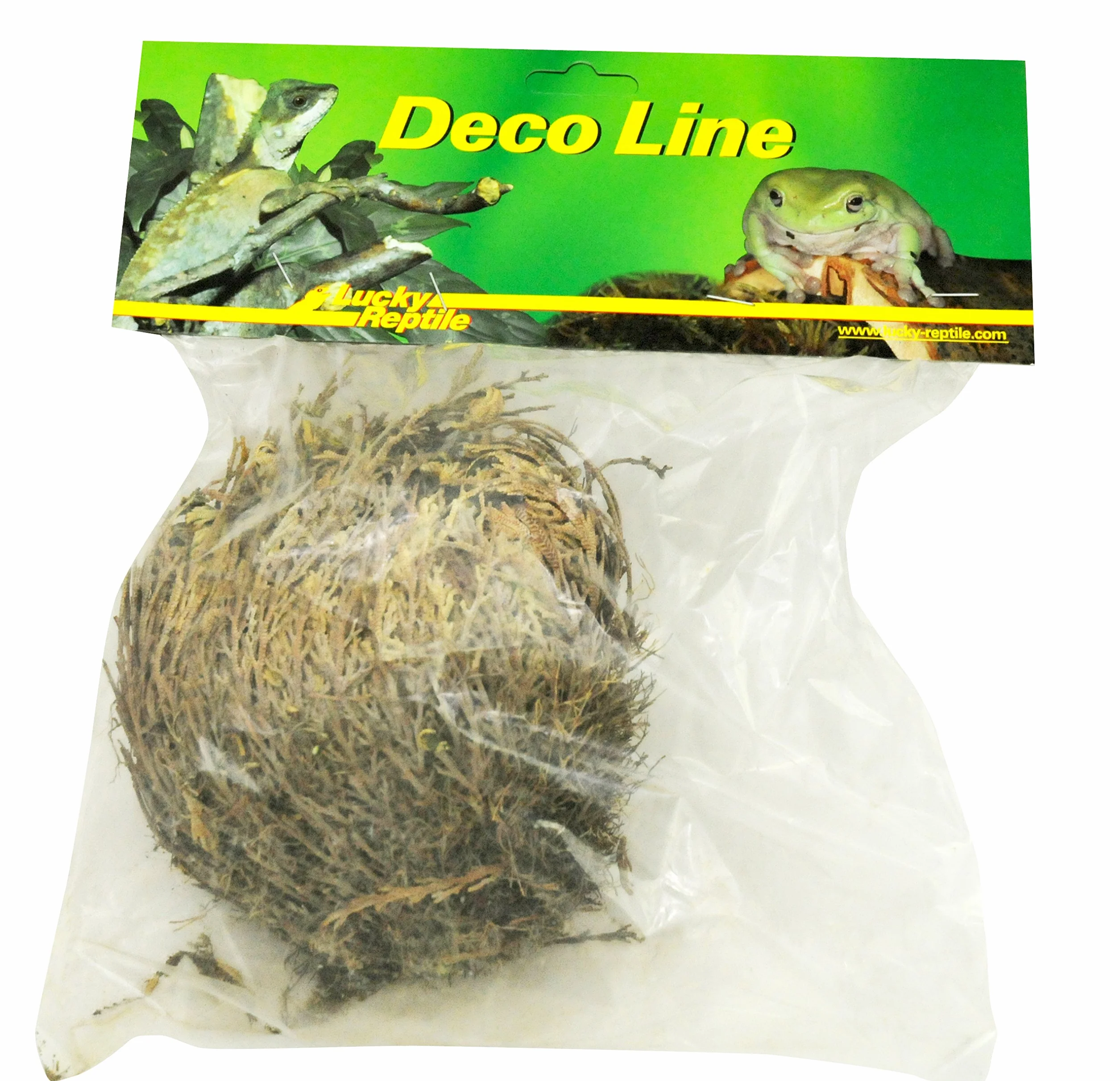 Lucky Reptile DL-RJ Rose de Jéricho Naturelle
