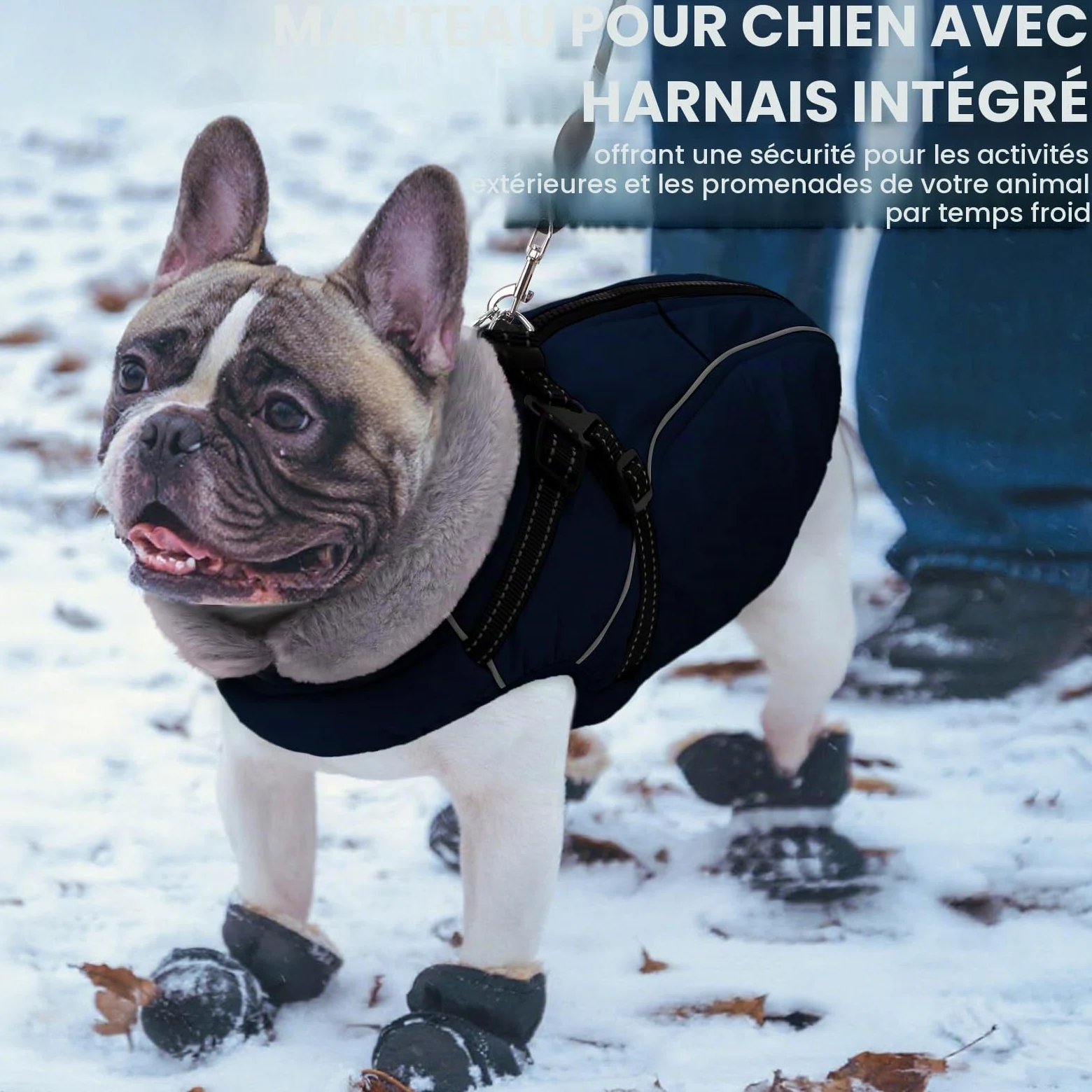 Manteau Chien Hiver avec Harnais, Manteaux Imperméables pour Chiens, Veste avec Harnais, Bouledogue Français/Cocker Spaniel/Lévrier