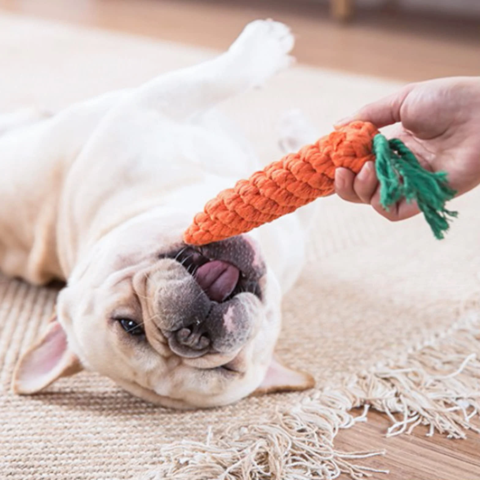 Amzeeniu Ensemble Lot de 16 PCS Jouet à Mâcher Corde pour Chiens, Jouet Interactif Chien Corde Balle
