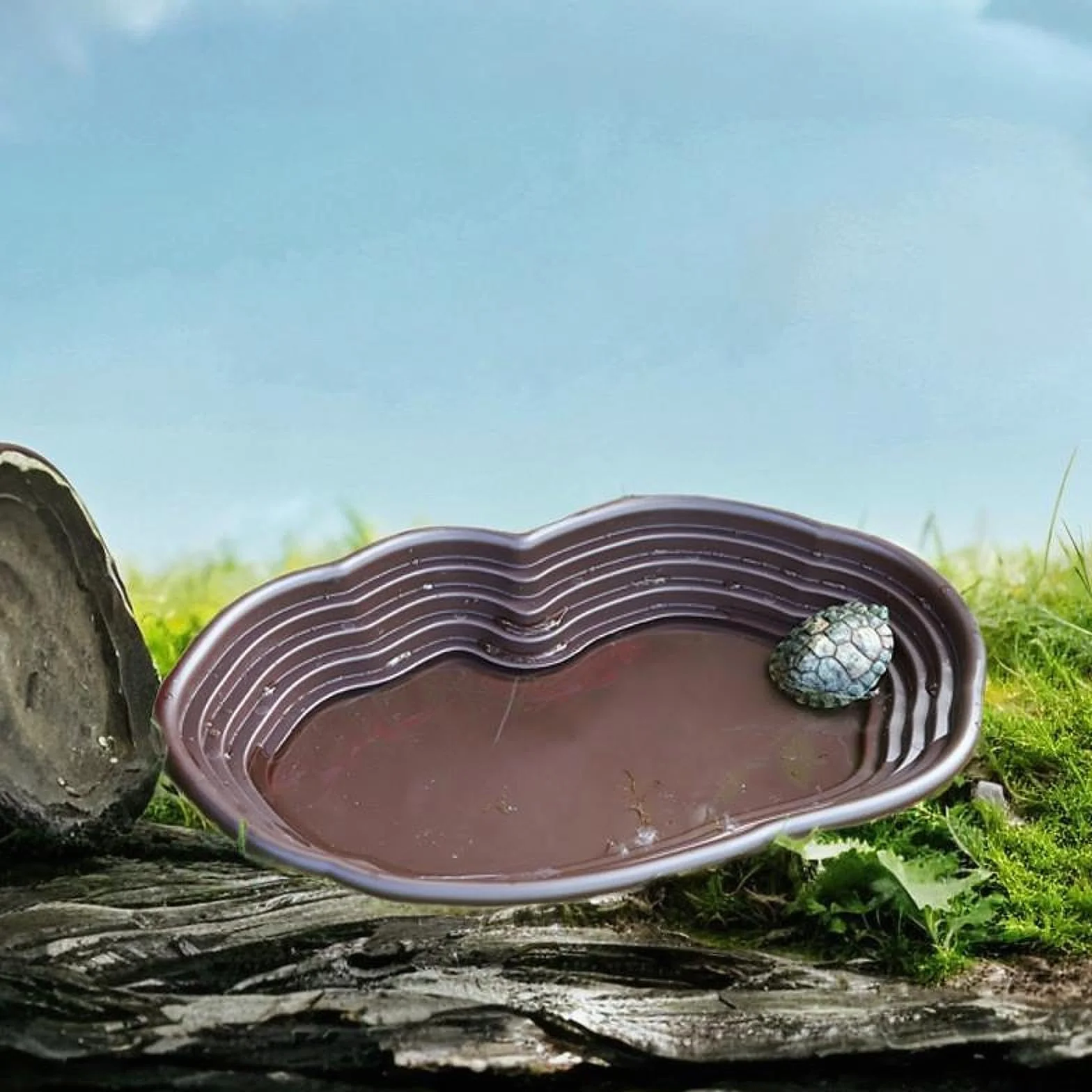 Bassin de Bain pour Reptiles avec Rampe et Plate-Forme, Plat d'Eau pour Tortue Grenouille Gecko