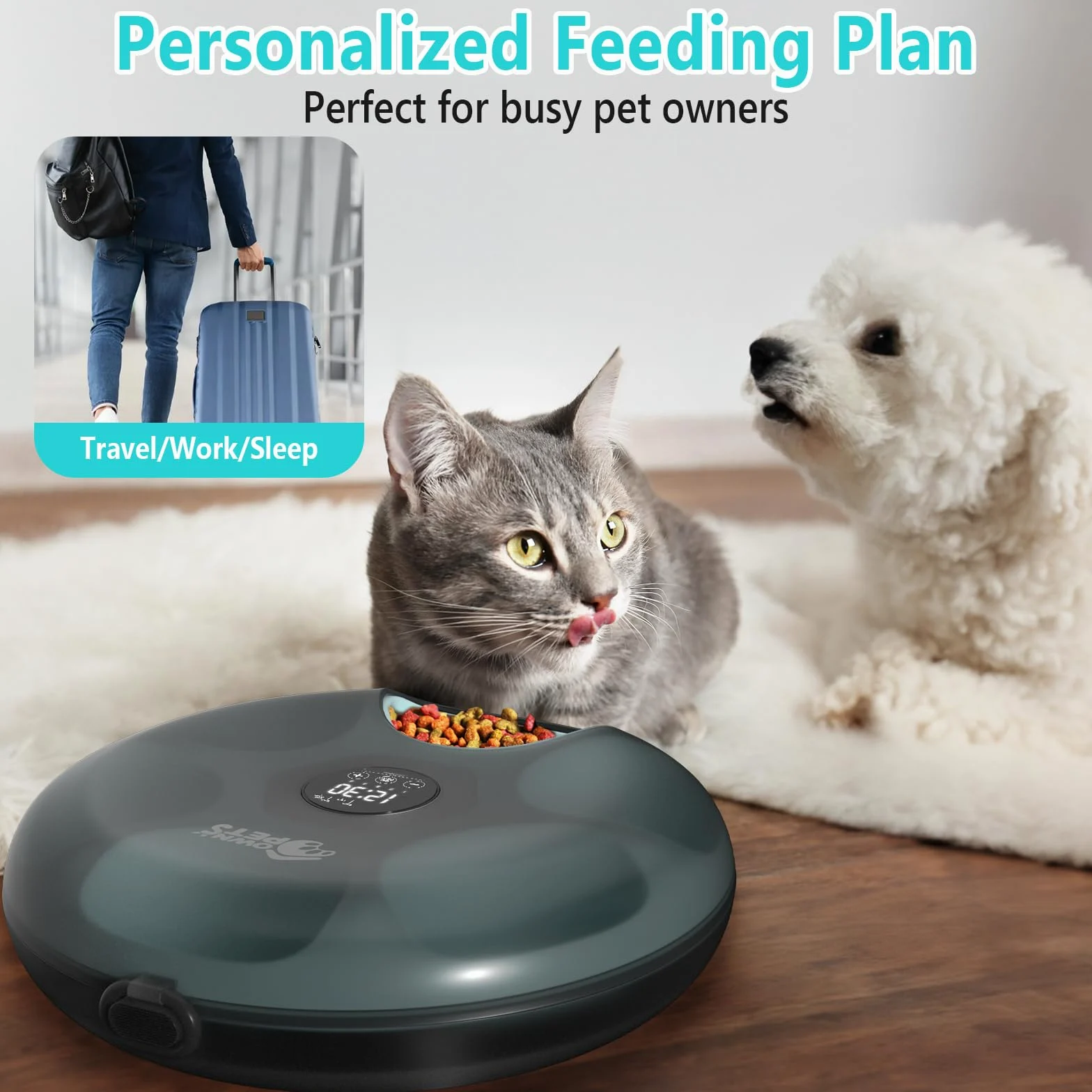 Ownpets Distributeur automatique de nourriture pour chat - 6 repas - Avec 2 blocs réfrigérants - Minuterie programmable - Alimentation automatique pour chats et chiens de petite taille