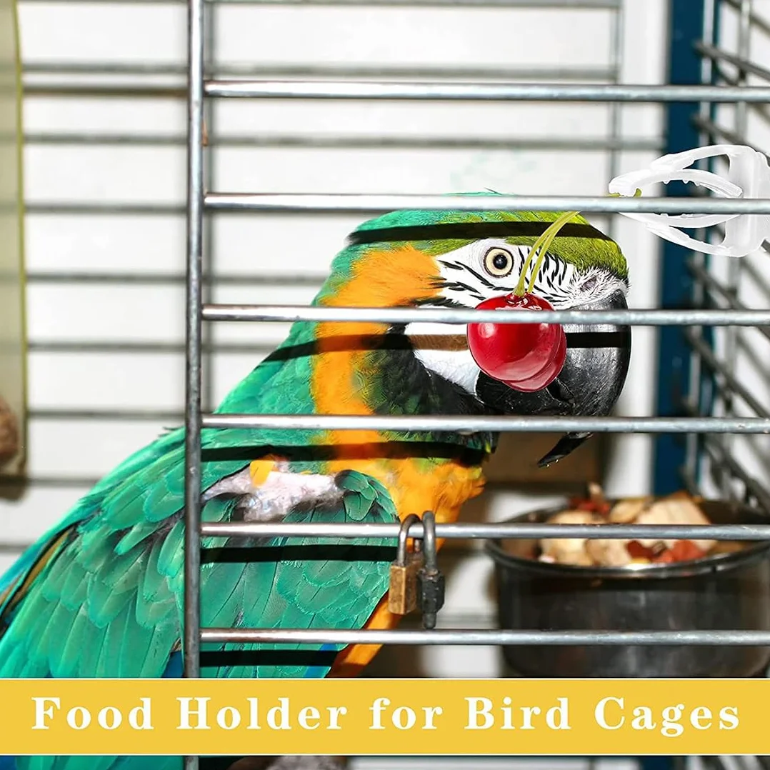 Mangeoires pour oiseaux Lot de 6 pinces à nourriture en plastique pour cages à oiseaux, accessoires pour perroquets perruches
