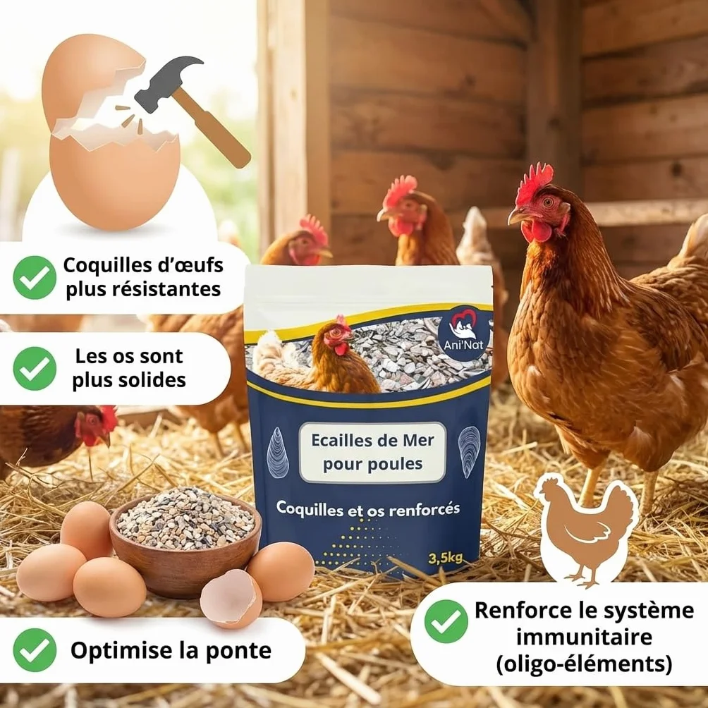Ani'Nat Ecailles de mer pour Poules Pondeuses et Pigeons Minéraux Calcium Coquilles Solides 3,5kg