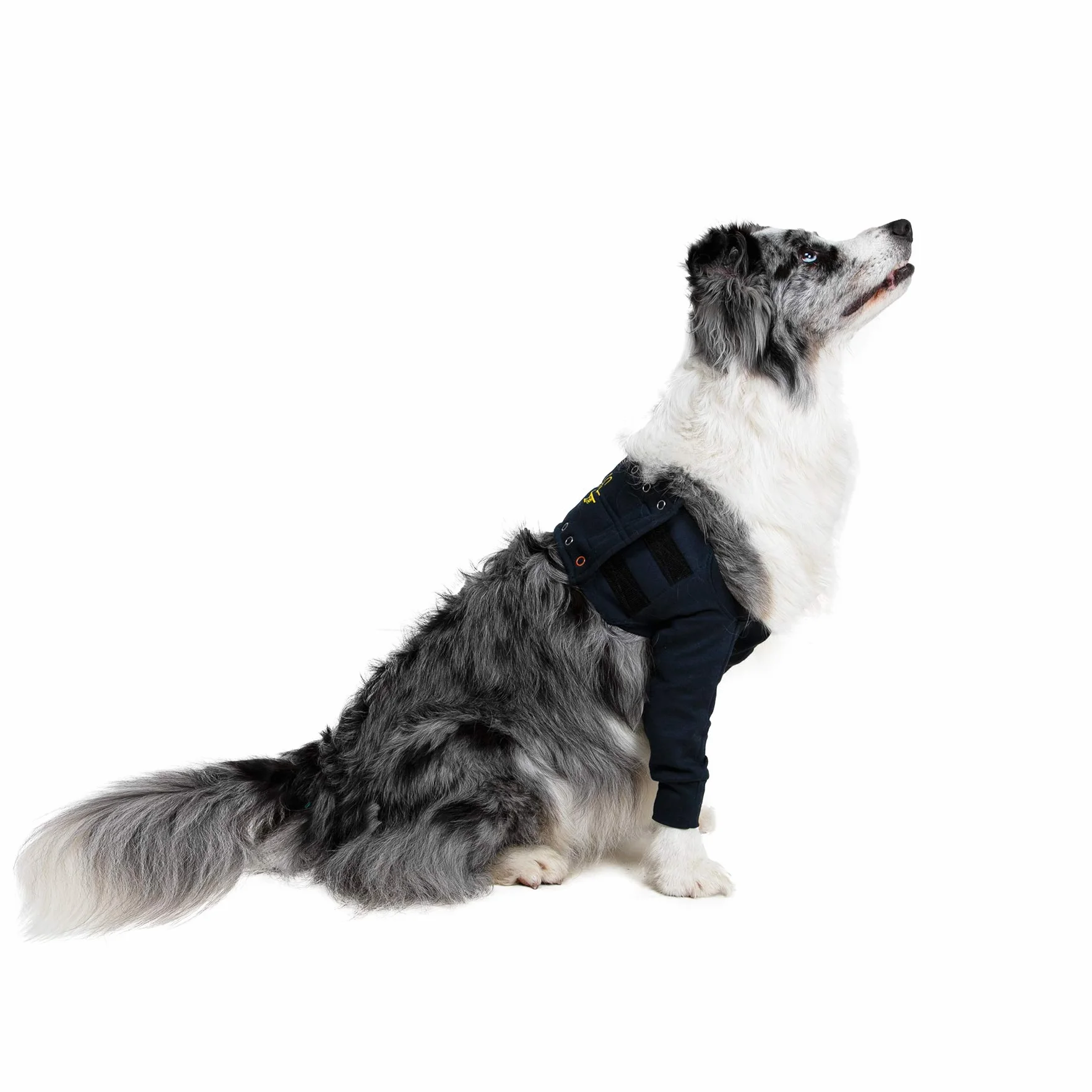 MPS Medical Pet Shirt TAZ2 Double Manches de Patte Avant pour Chiens Bleu