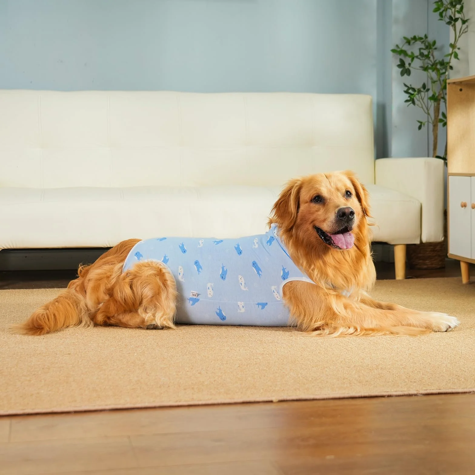 Combinaison de Récupération pour Chiens après Chirurgie, Body Chirurgical Chien Femelle Mâle, Protection Post Opératoire (Blue-Baleine, XL)