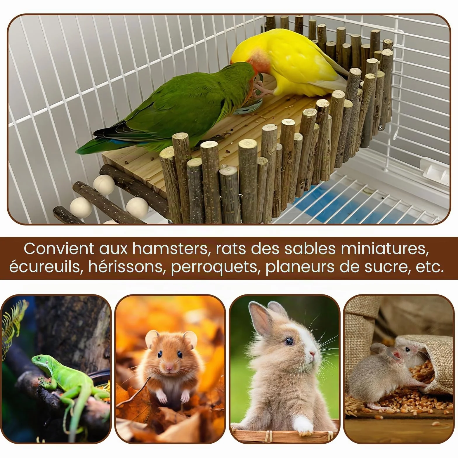 Plateforme d'escalade en bois pour hamster avec échelle - Aire de jeu robuste pour petits animaux