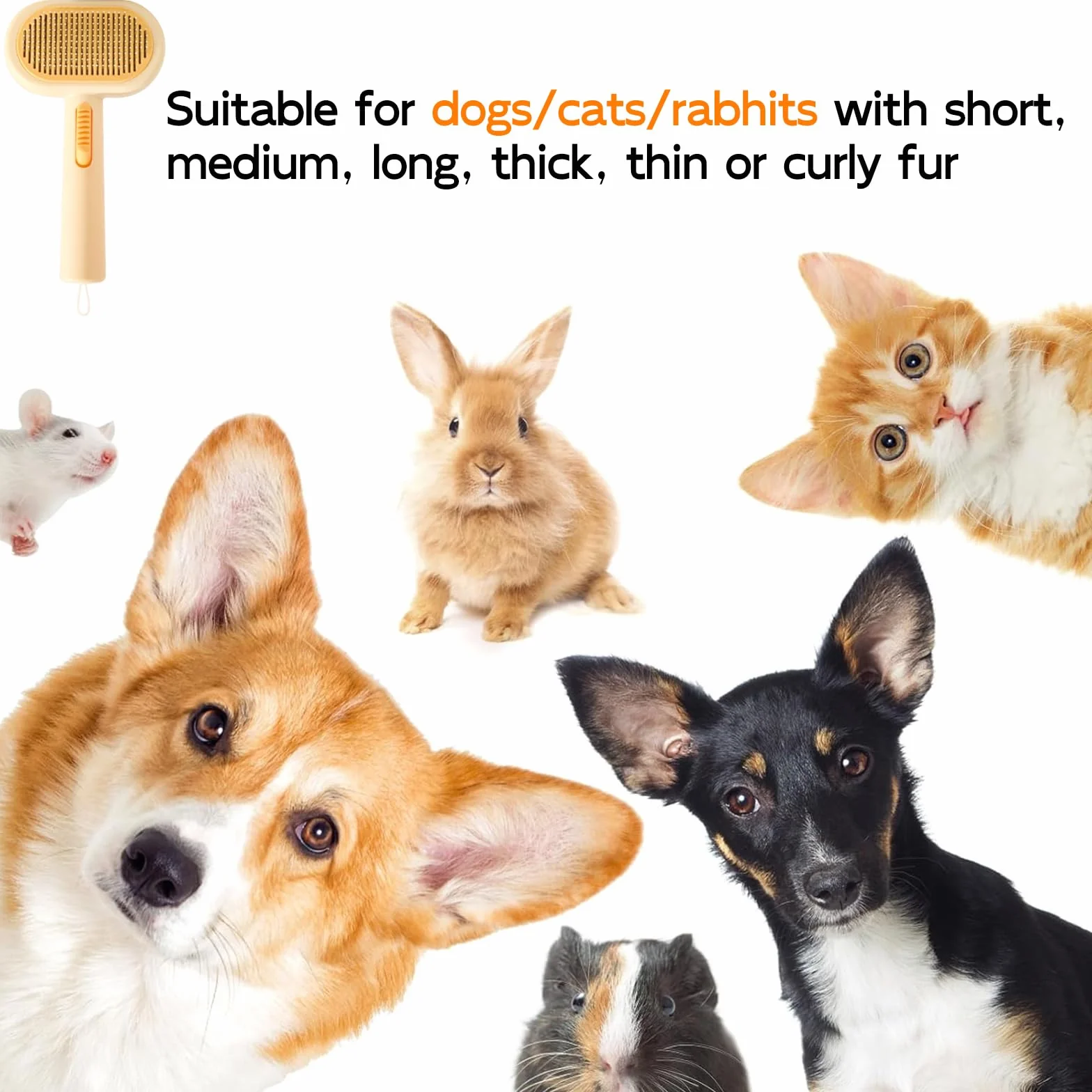 Brosse pour Chat et Chien Autonettoyante Retrait Poils Lâches Poil Long Court