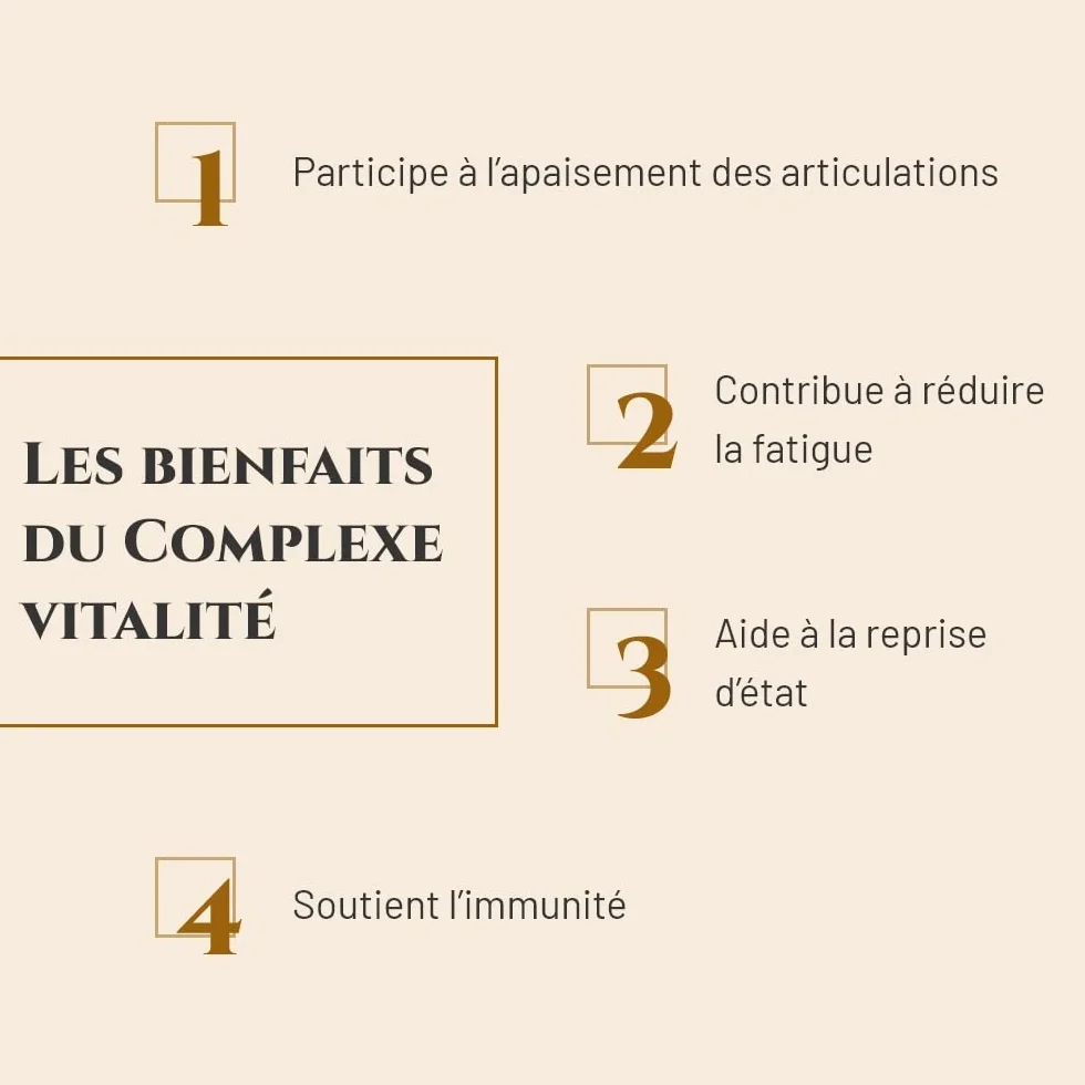 COMPLEXE VITALITÉ Complément nutritionnel Cheval Seau 1 kg Saule blanc vitamine C
