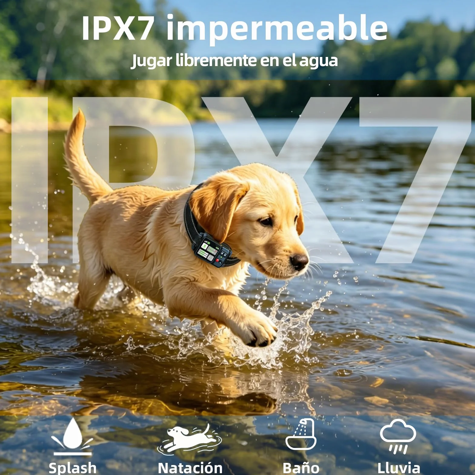 Clôture Invisible GPS pour Chien, Rayon Ajustable 15-2000m, 3 Modes d'Entraînement, IPX7, Sans Abonnement