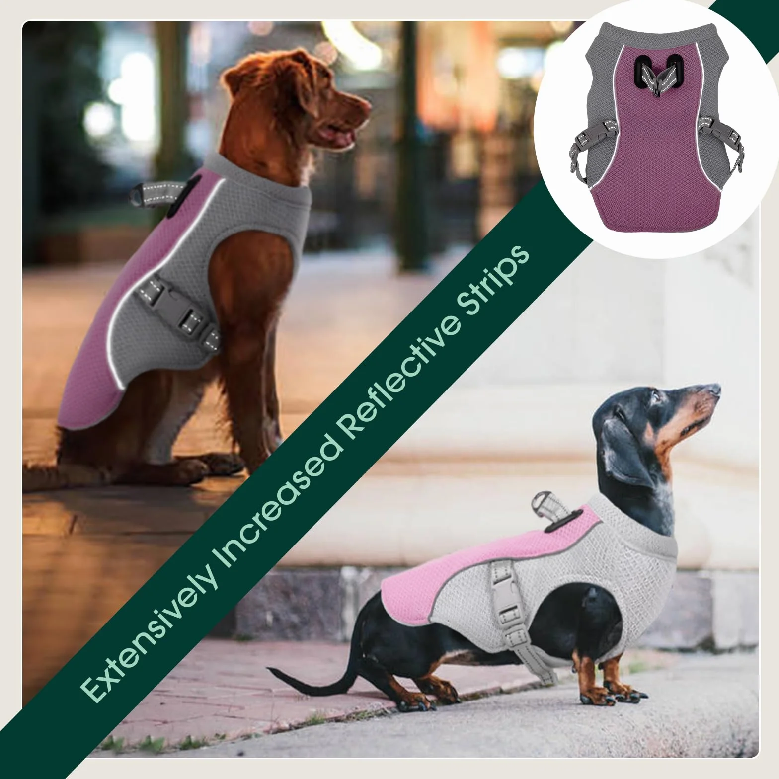 Kuoser Gilet rafraîchissant pour chien, Manteau de refroidissement respirant pour animaux de compagnie