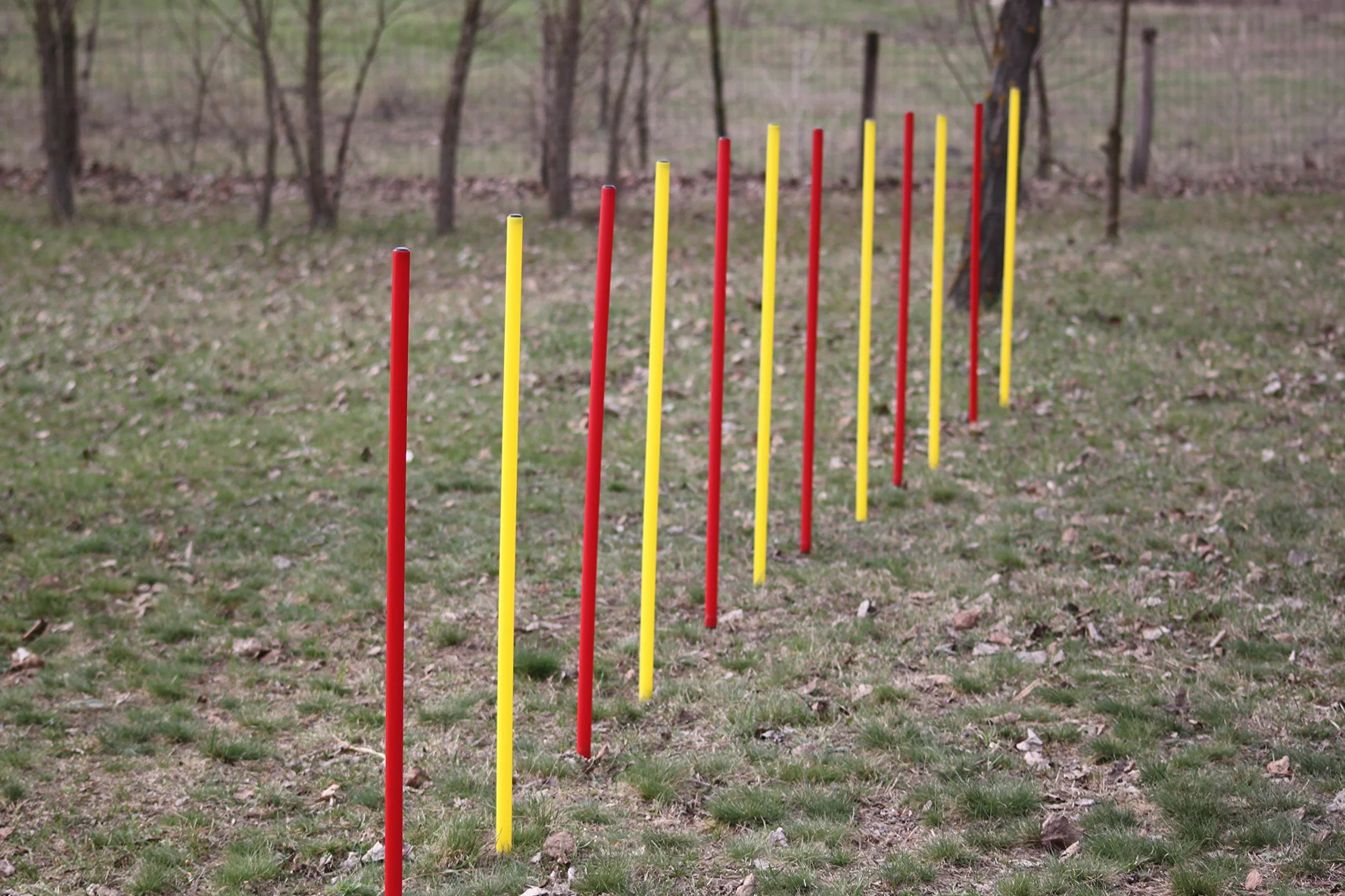 Kit piquets de slalom AGILITY SLALOM rouge/jaune ronds flexibles