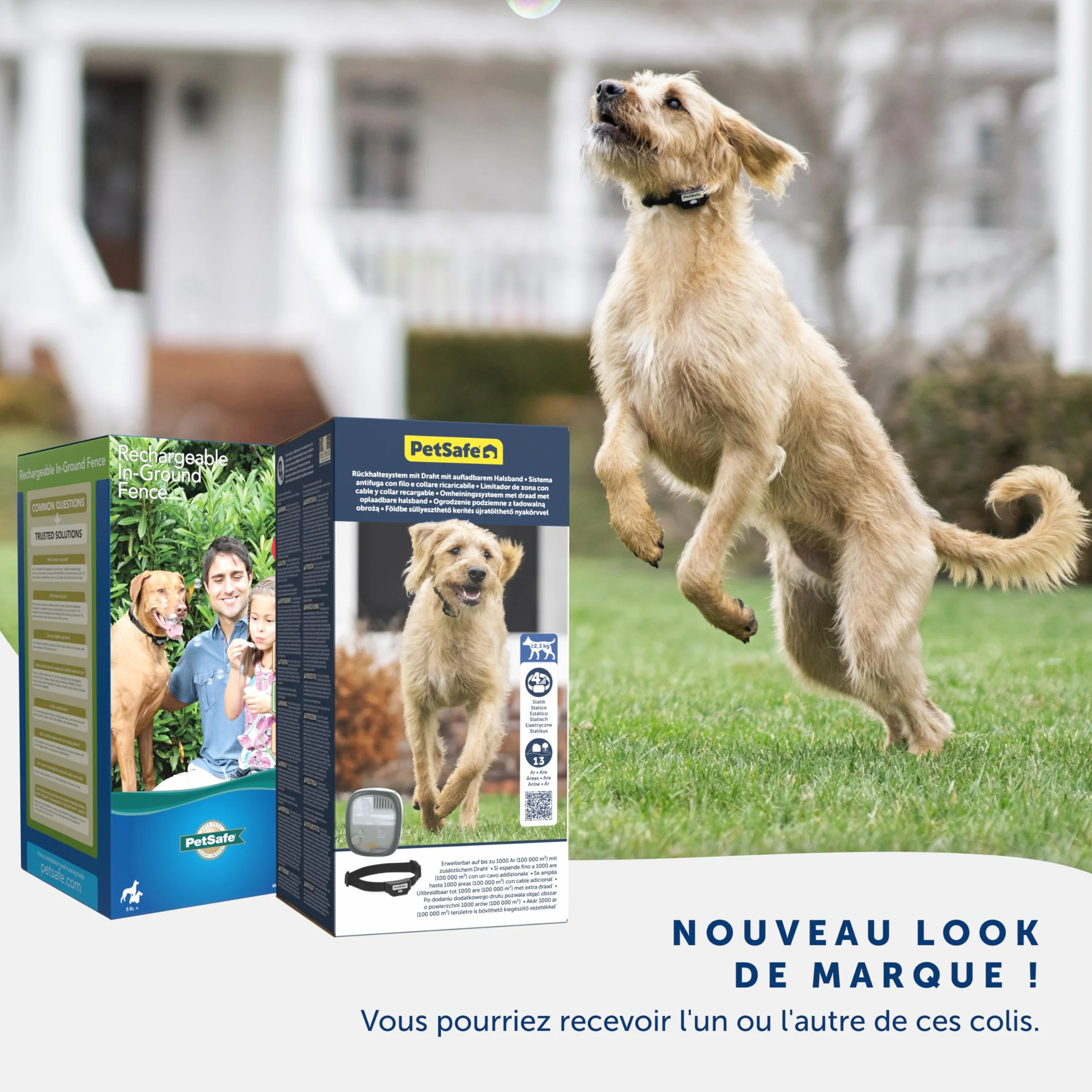 PetSafe PIG19-16413 Clôture Anti-Fugue Filaire Collier Rechargeable Étanche
