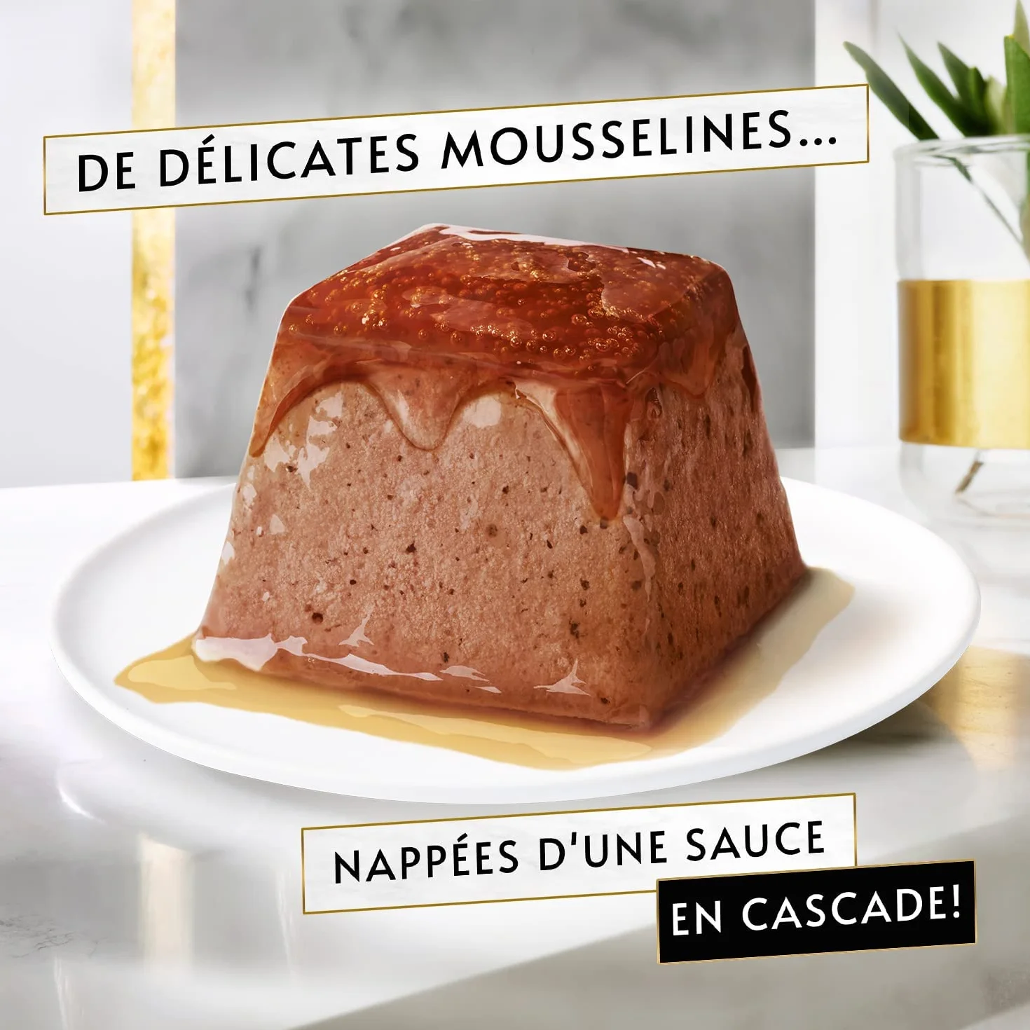 GOURMET REVELATIONS Mousseline Poulet Bœuf 48x57g