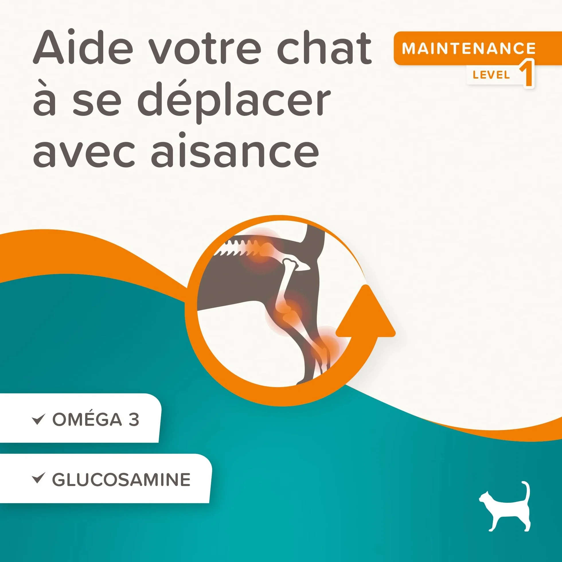BEAPHAR Friandises Articulations Flexifit® pour Chats 35g