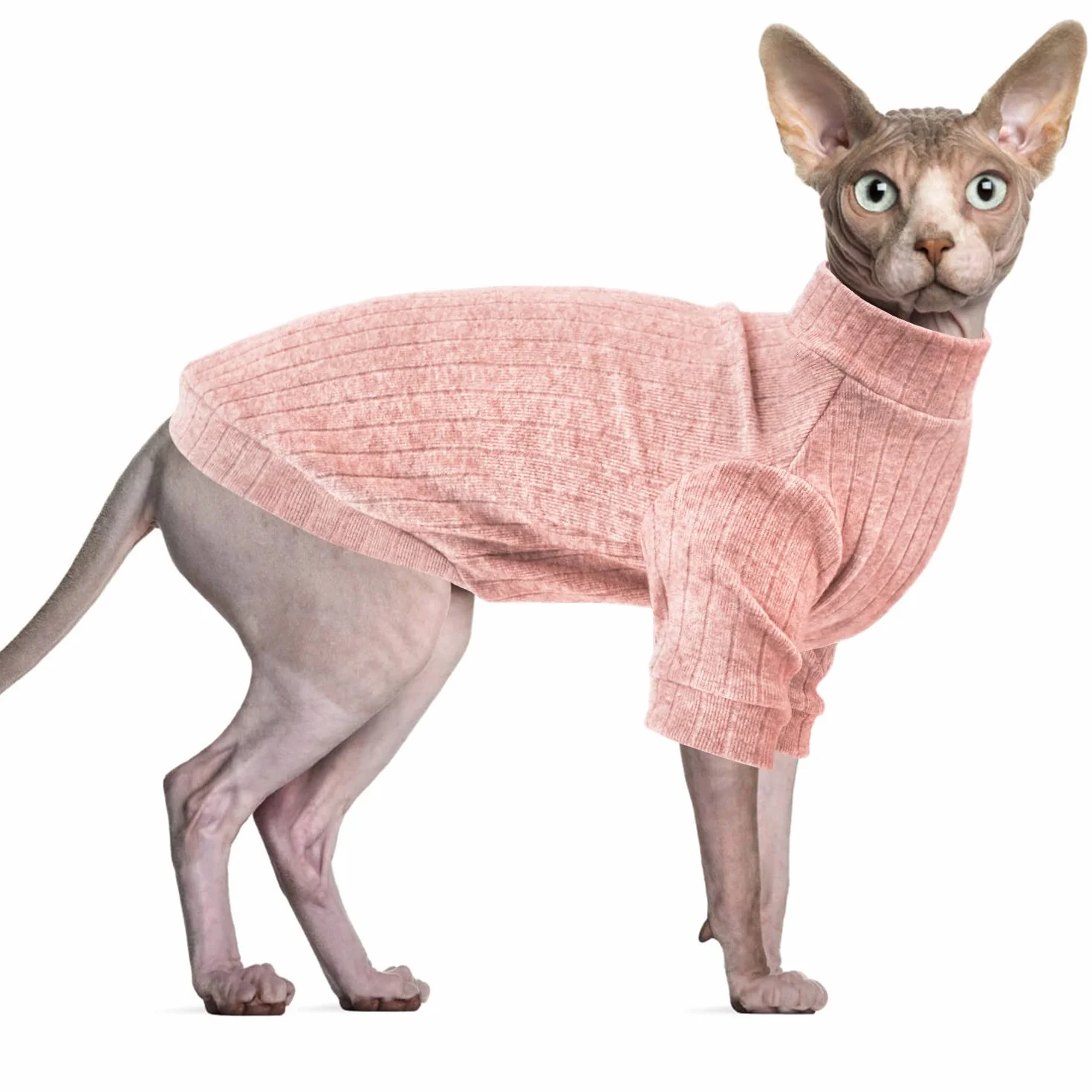 Pull à Manches Longues pour Chat Sphynx, Veste d'Hiver sans Poils