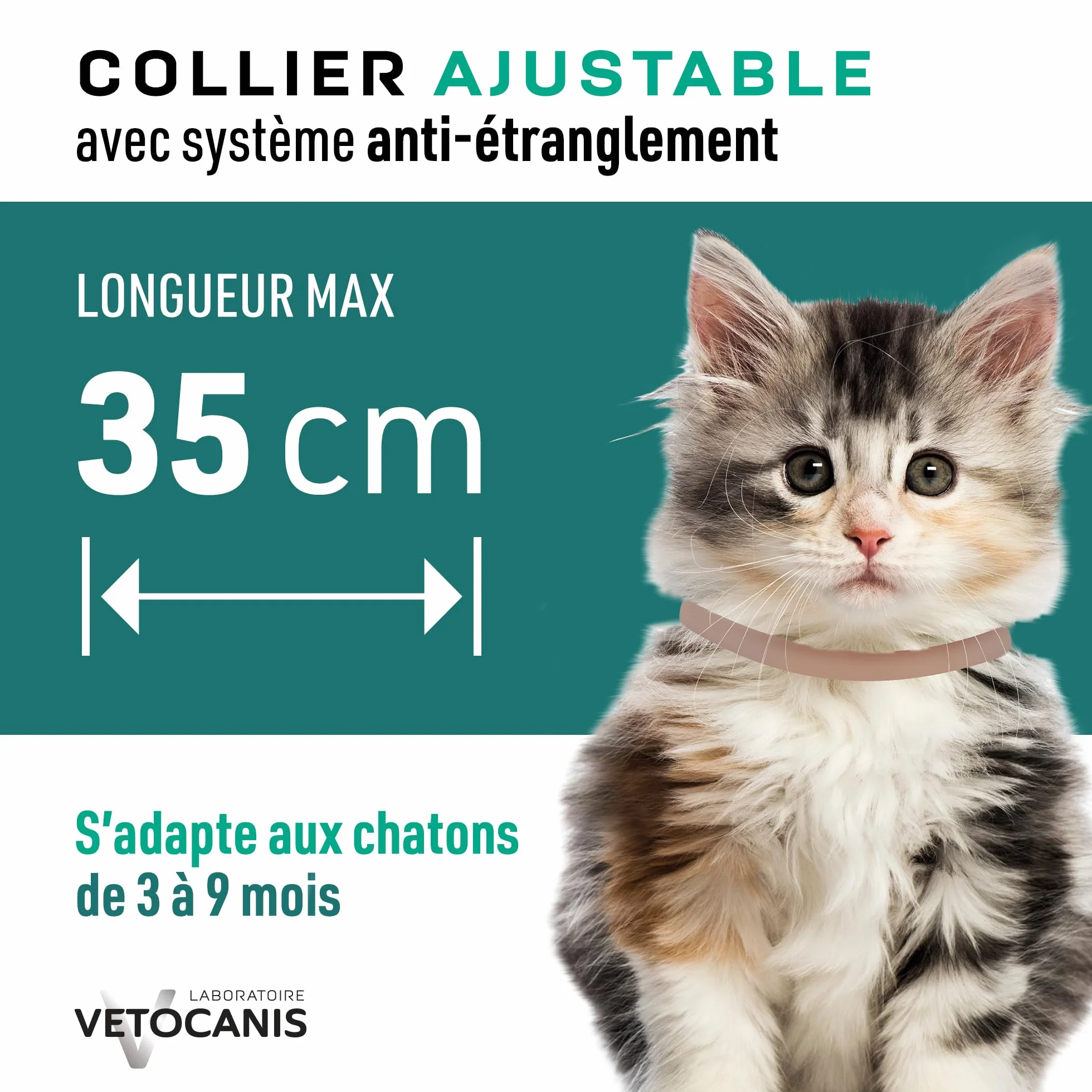 Collier anti-puces et anti-tiques pour chaton Vetocanis - Protection antiparasitaire 3 mois résistant à l'eau