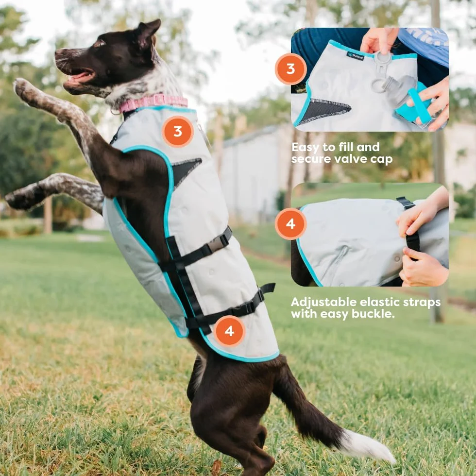 Suitical Dry Cooling Vest Chien XS Argent
