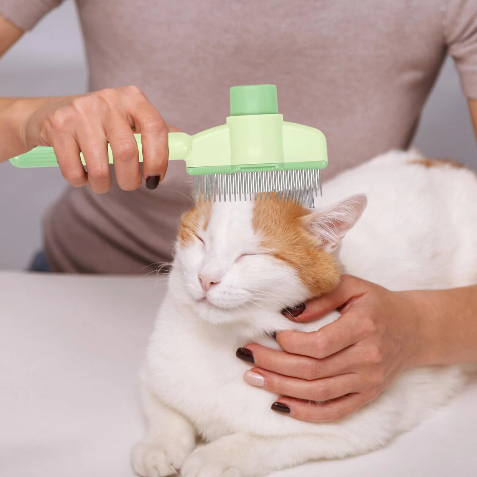 Peigne à dents en acier inoxydable pour chats et chiens, lot de 2, brosses autonettoyantes multi-usages