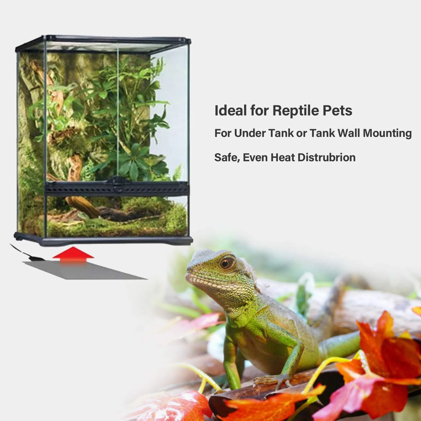Tapis Chauffant pour Terrarium 2 pièces Imperméable avec Contrôleur de Température pour Reptiles Lézards Geckos Serpents Tortues Araignées 5W