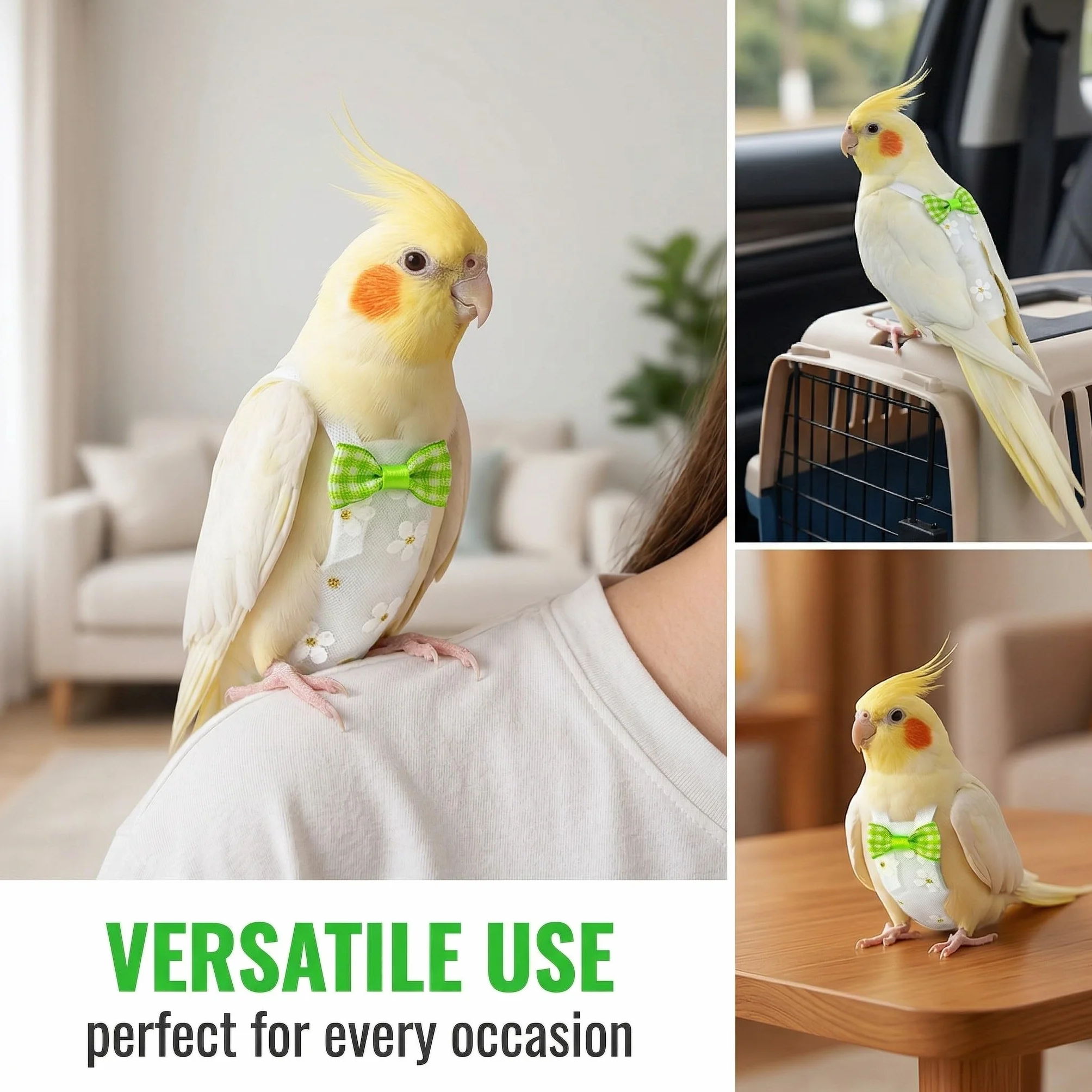 Couches pour Oiseaux Lot De 2 Protections pour Oiseaux Domestiques, Couches de Perroquet Réutilisables Lavables pour Perruche, Mini Ara, Canari