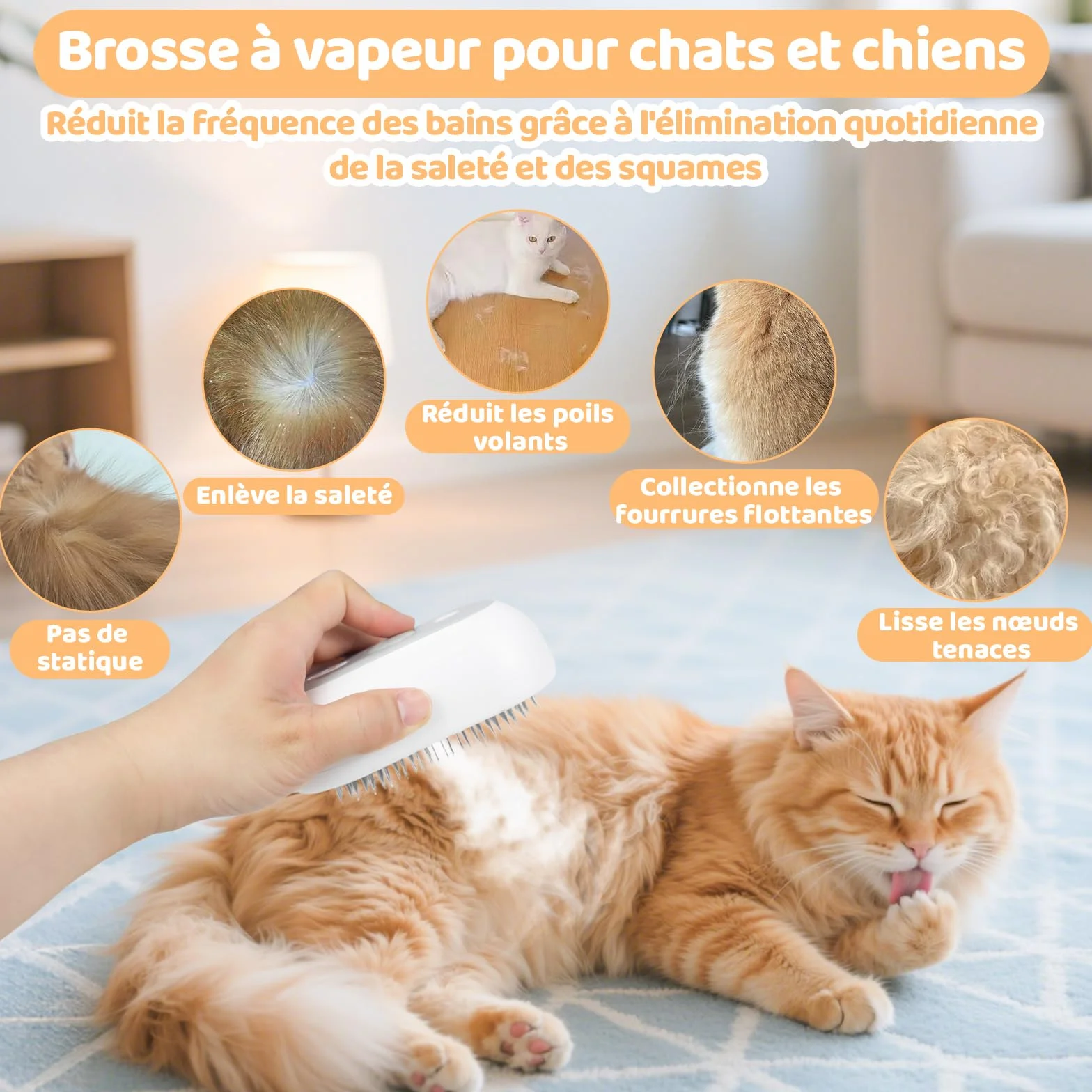 Brosse Vapeur Chat Rechargeable Nepfaivy - Nettoyeur Vapeur pour Animaux Élimine Les Poils