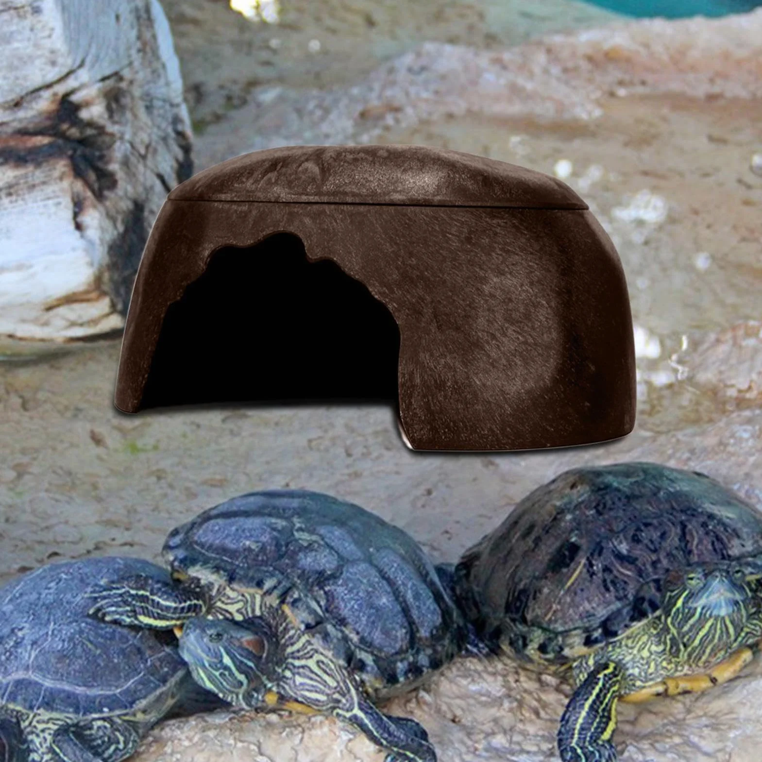 Cachette pour Reptiles, Abri pour Grenouilles, Lézard avec 3 Éviers pour Gecko, Barbu, Dragon