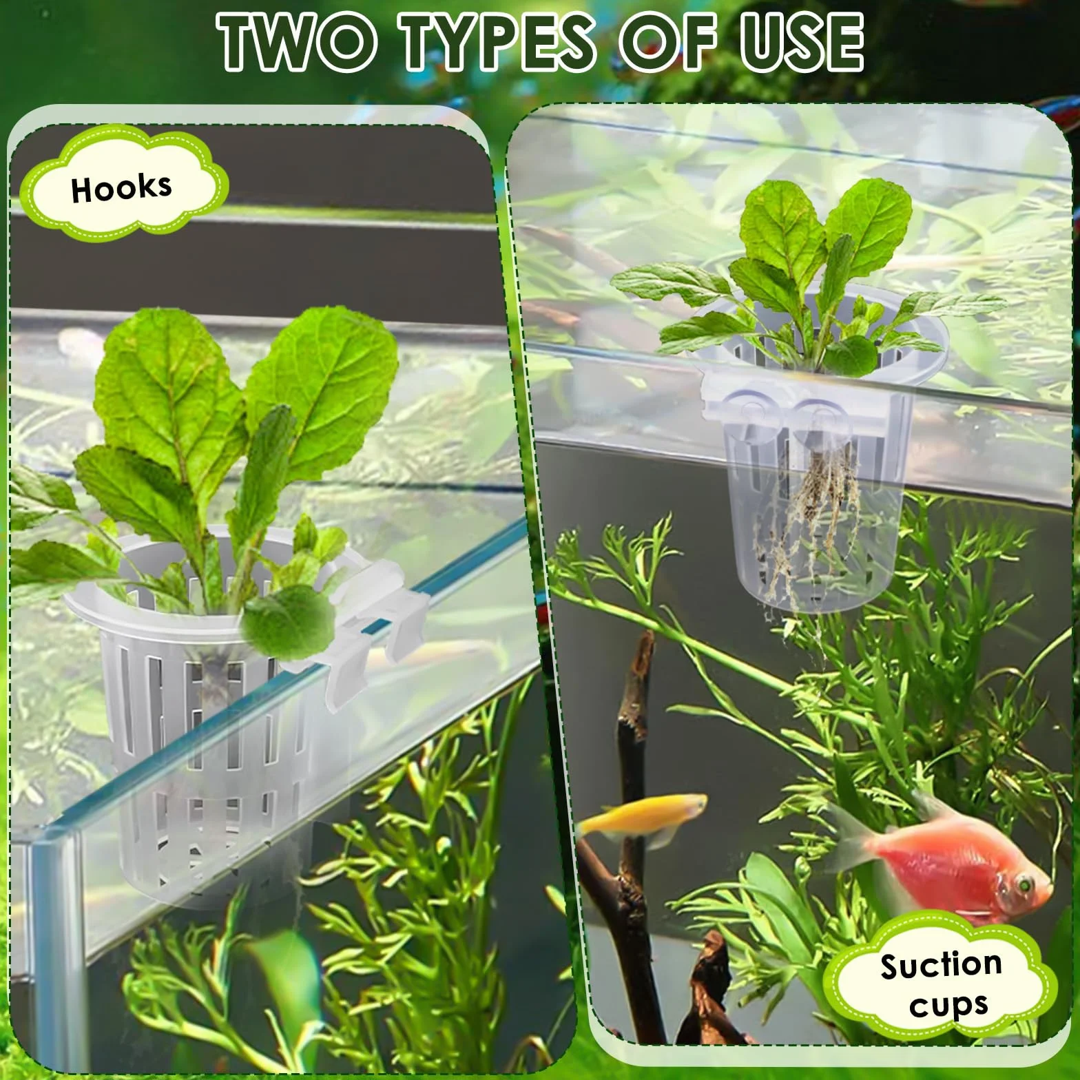 Support de plantes d'aquarium avec ventouses, culture aquaponique et accessoires