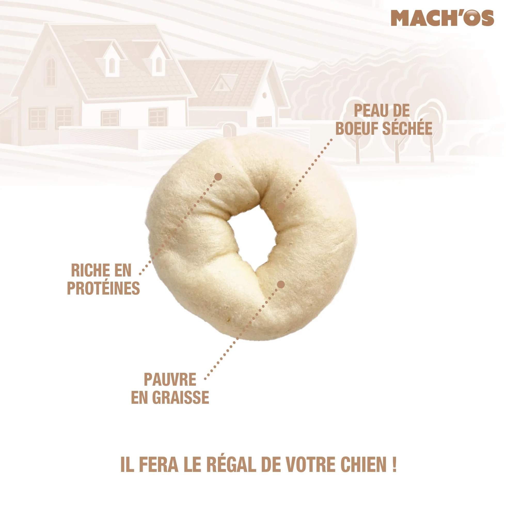 Riga - Mach'os - Donut Soufflé Blanc - Friandise pour Chien - Peau De Buffle - Riche en Protéines - Hygiène Buccale - Mastication Et Récompense - pour Moyen Chien - 75G