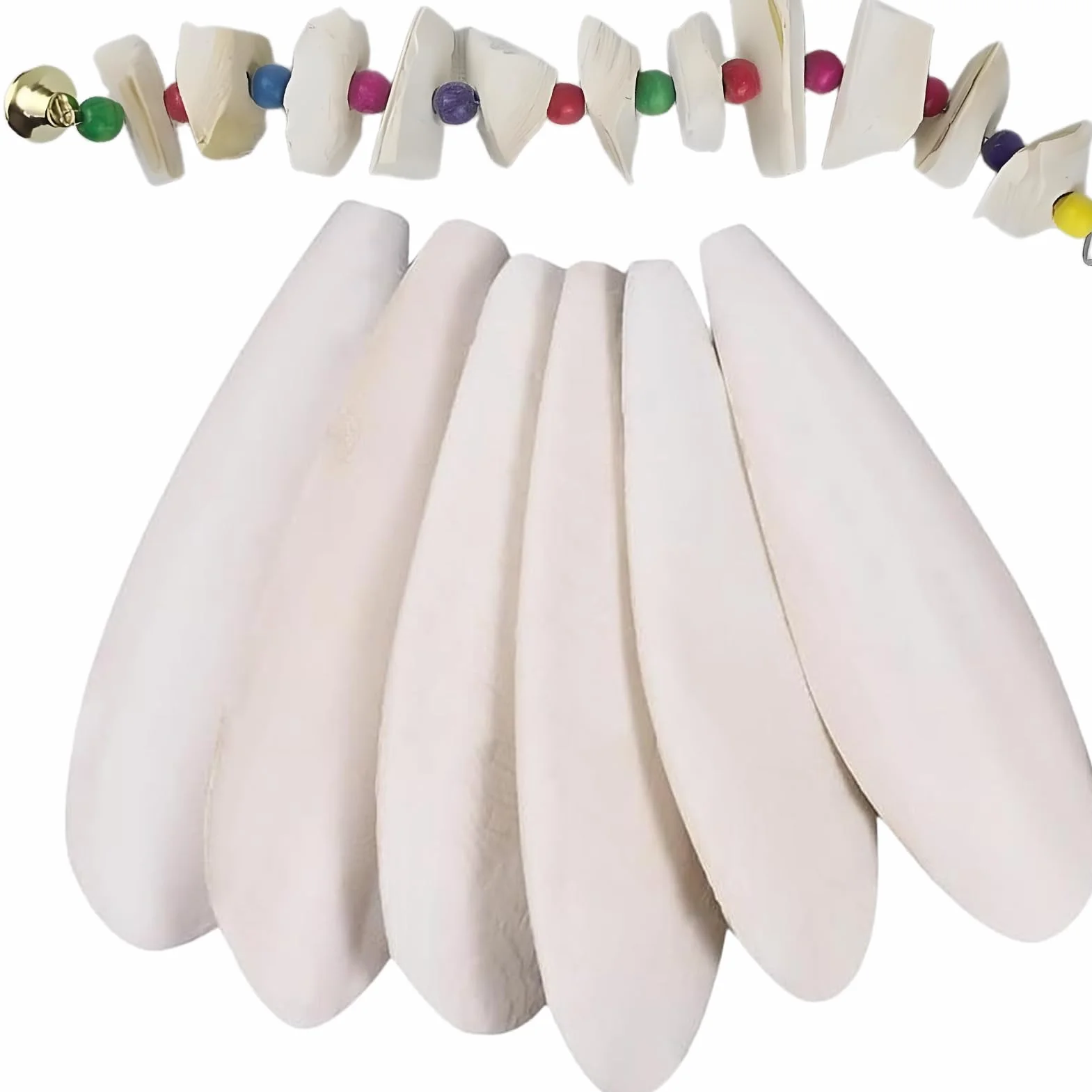 Os de Seiche Oiseau Tortue Jouets Perroquet à Mâcher 6 Pièces 11-13cm