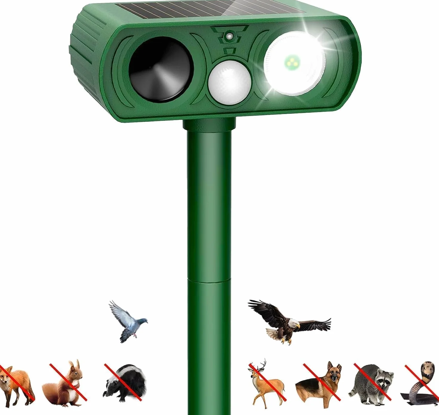 Répulsif Chat Ultrason Solaire IP54 Anti Chats Chiens avec Détecteur de Mouvement LED