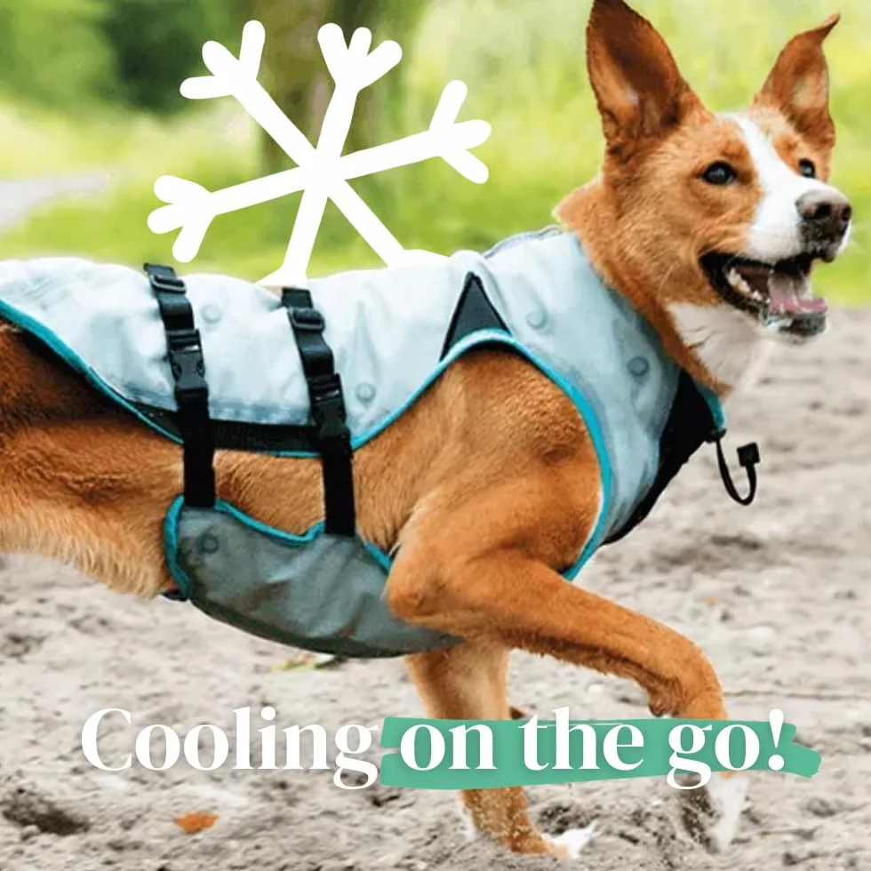 Suitical Dry Cooling Vest Chien XS Argent