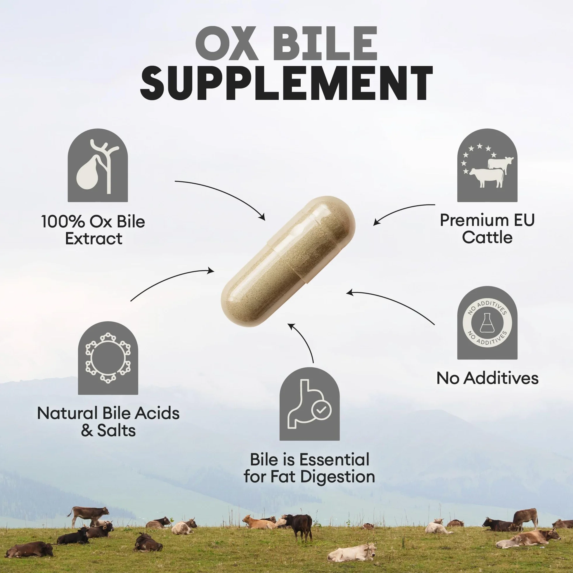 Nutriest Complément de Bile de Bœuf 500 mg 60 Capsules – Sels de Bile Digestif Naturel Métabolisme des Graisses