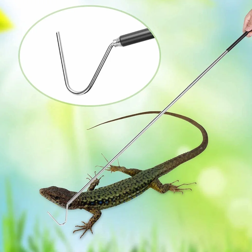 Crochet Serpent en Acier Inoxydable Extensible Télescopique 1 M, Outil de Capture Rétractable pour Reptile (Noir)