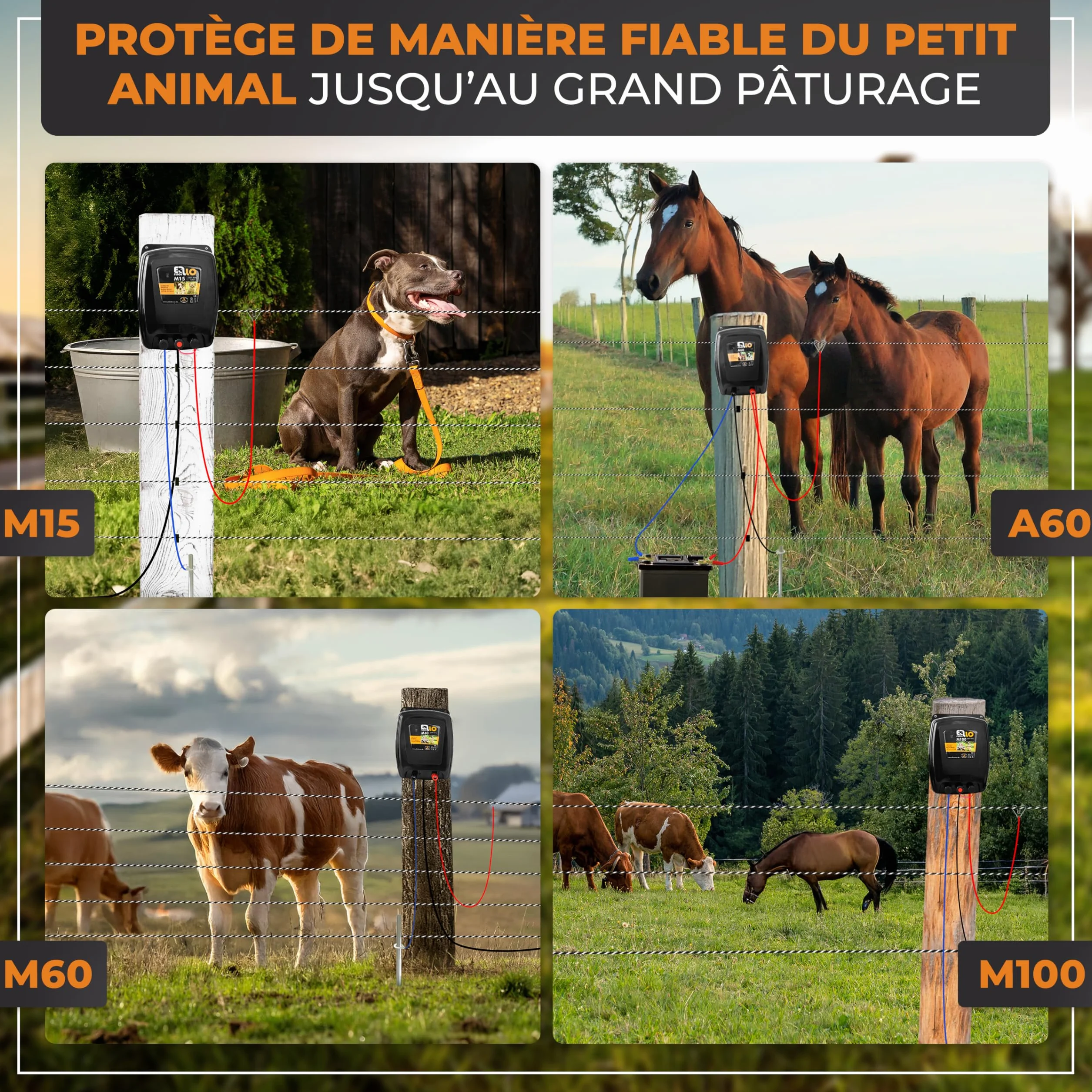 Électrificateur clôture électrique M60 230 V avec mise à la terre piquet de terre