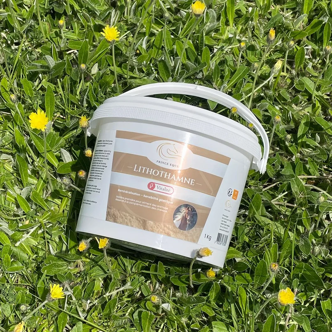 LITHOTHAMNE Complément nutritionnel Cheval Seau 1 kg Calcium Naturel Aide réguler acidité gastrique Reminéralisation