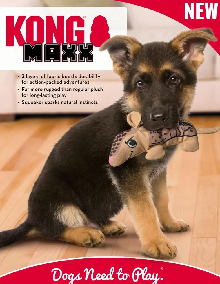 Kong Maxx Ballistic Jouet Robuste à 2 Couches pour Chien Armadillo, Taille S