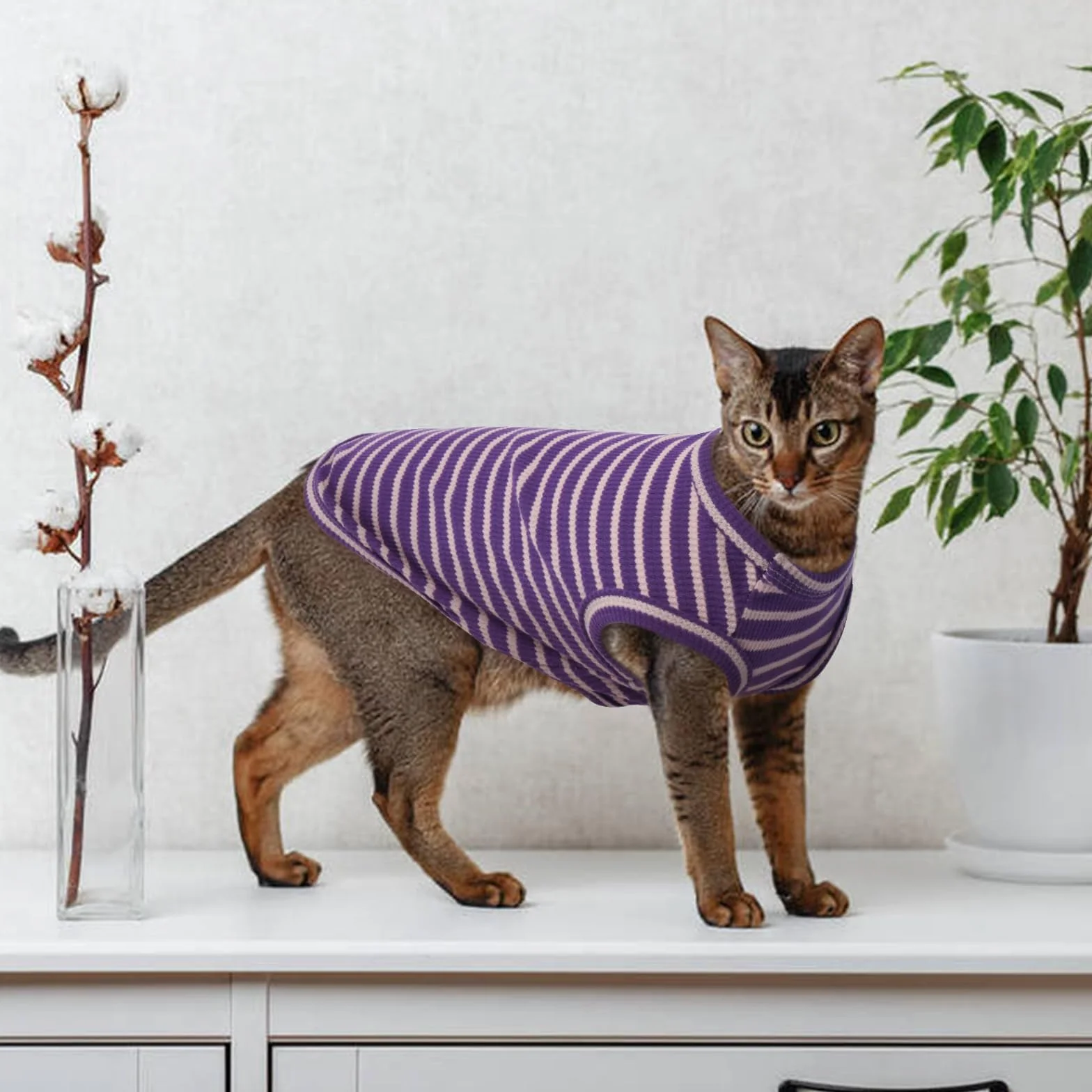 Sphynx Vêtements pour chat T-shirts respirants sans poils rayures sans manches pull-over été animaux de compagnie Cornish Rex