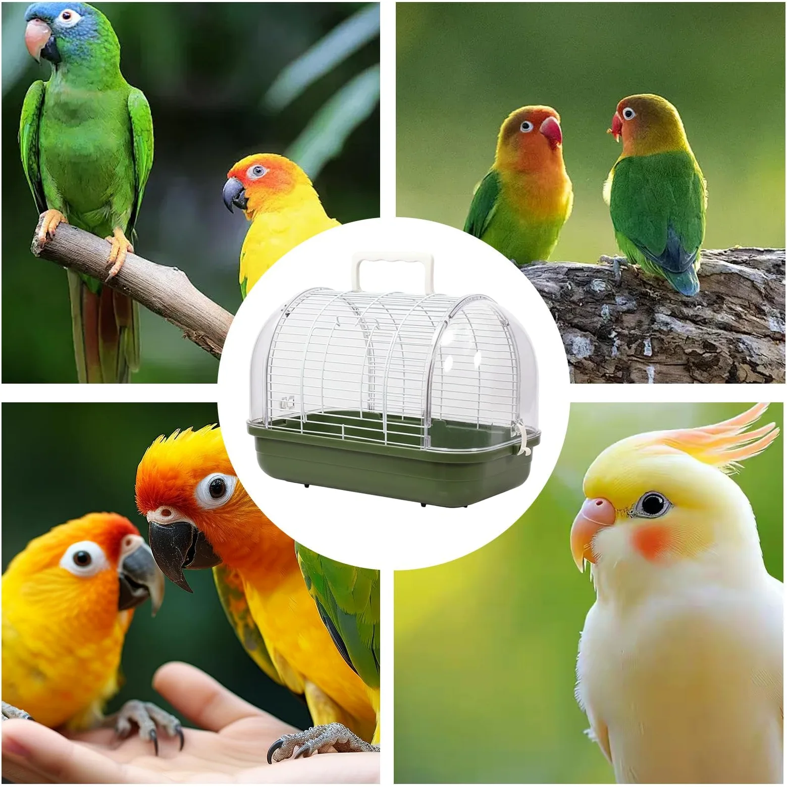 Transporteur d'oiseaux Boîte De Transport avec Un Perchoir Debout Et Une | Cage D'Extérieur Pour Oiseaux pour Perruche, Canari, Calopsitte, Conure et Dragon Barbu