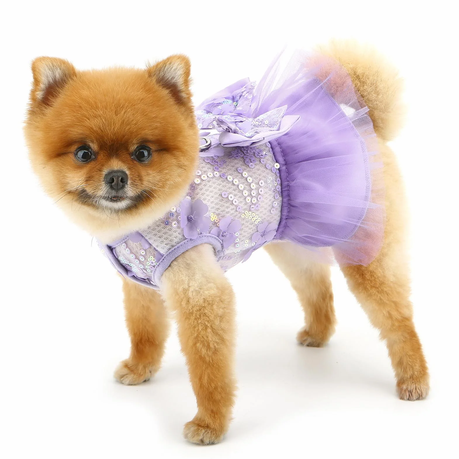 Robe à motif floral pour petit chien et fille avec anneau en D et nœud en dentelle